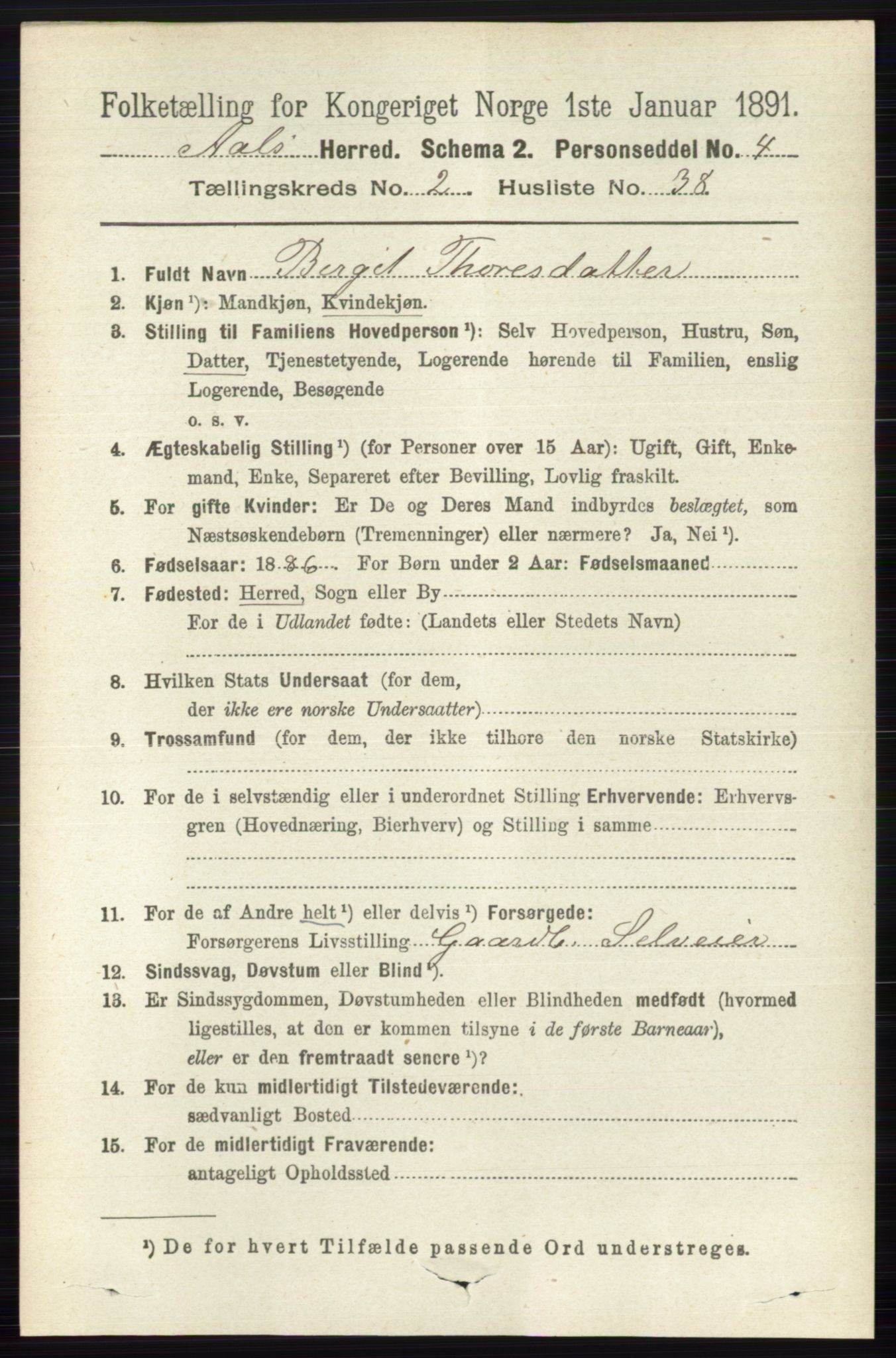 RA, 1891 census for 0619 Ål, 1891, p. 589