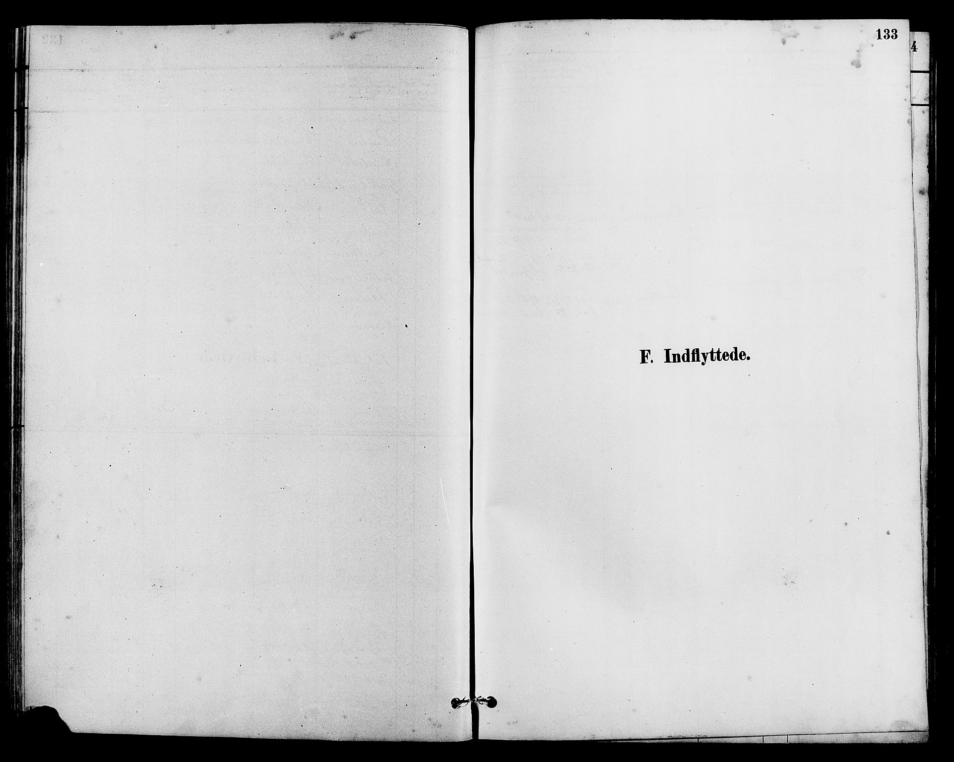 Vestre Slidre prestekontor, SAH/PREST-136/H/Ha/Hab/L0005: Parish register (copy) no. 5, 1881-1913, p. 133