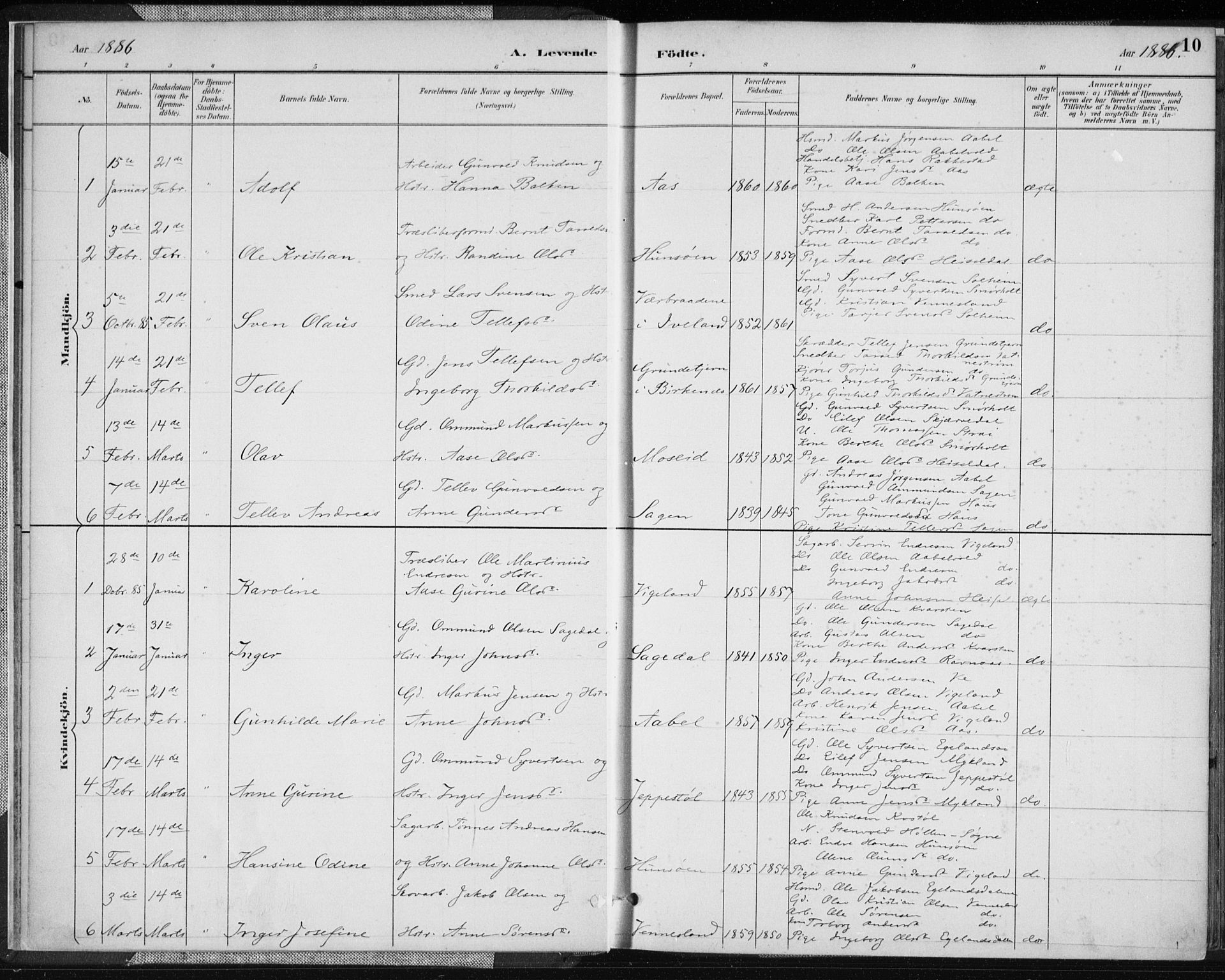 Vennesla sokneprestkontor, AV/SAK-1111-0045/Fa/Fab/L0004: Parish register (official) no. A 4, 1884-1896, p. 10