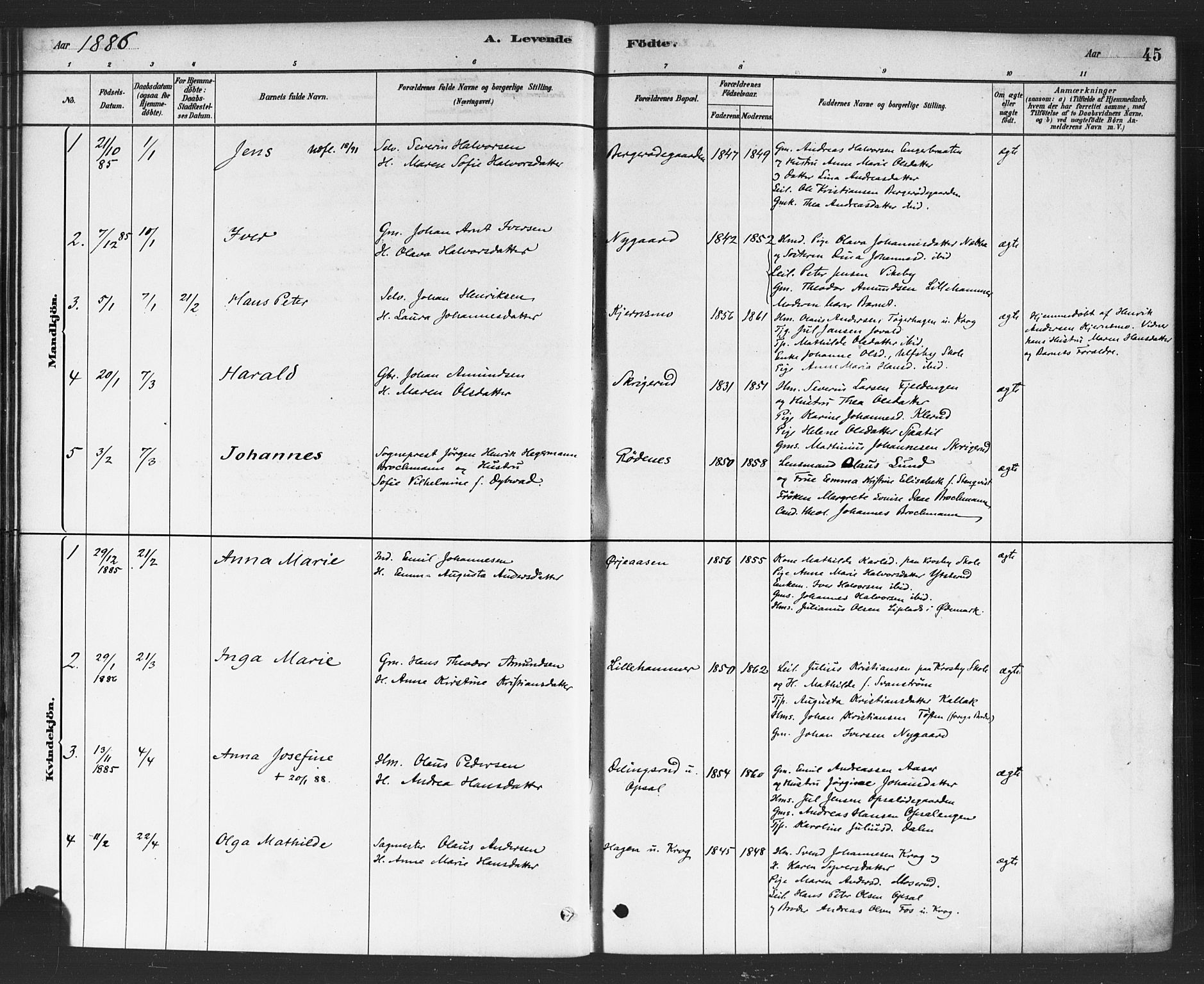 Rødenes prestekontor Kirkebøker, SAO/A-2005/F/Fa/L0009: Parish register (official) no. I 9, 1880-1889, p. 45