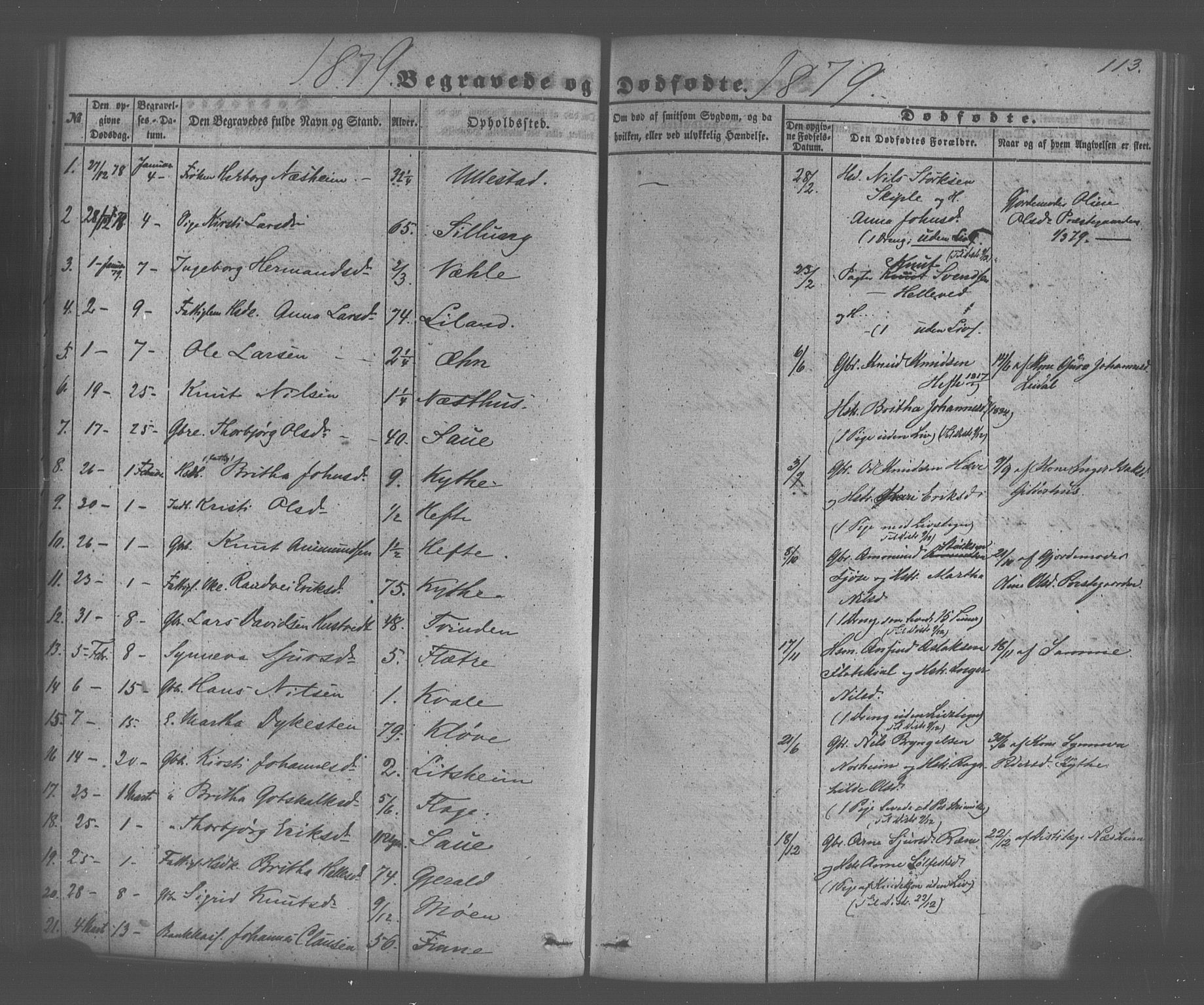 Voss sokneprestembete, SAB/A-79001/H/Haa: Parish register (official) no. A 20, 1855-1886, p. 113