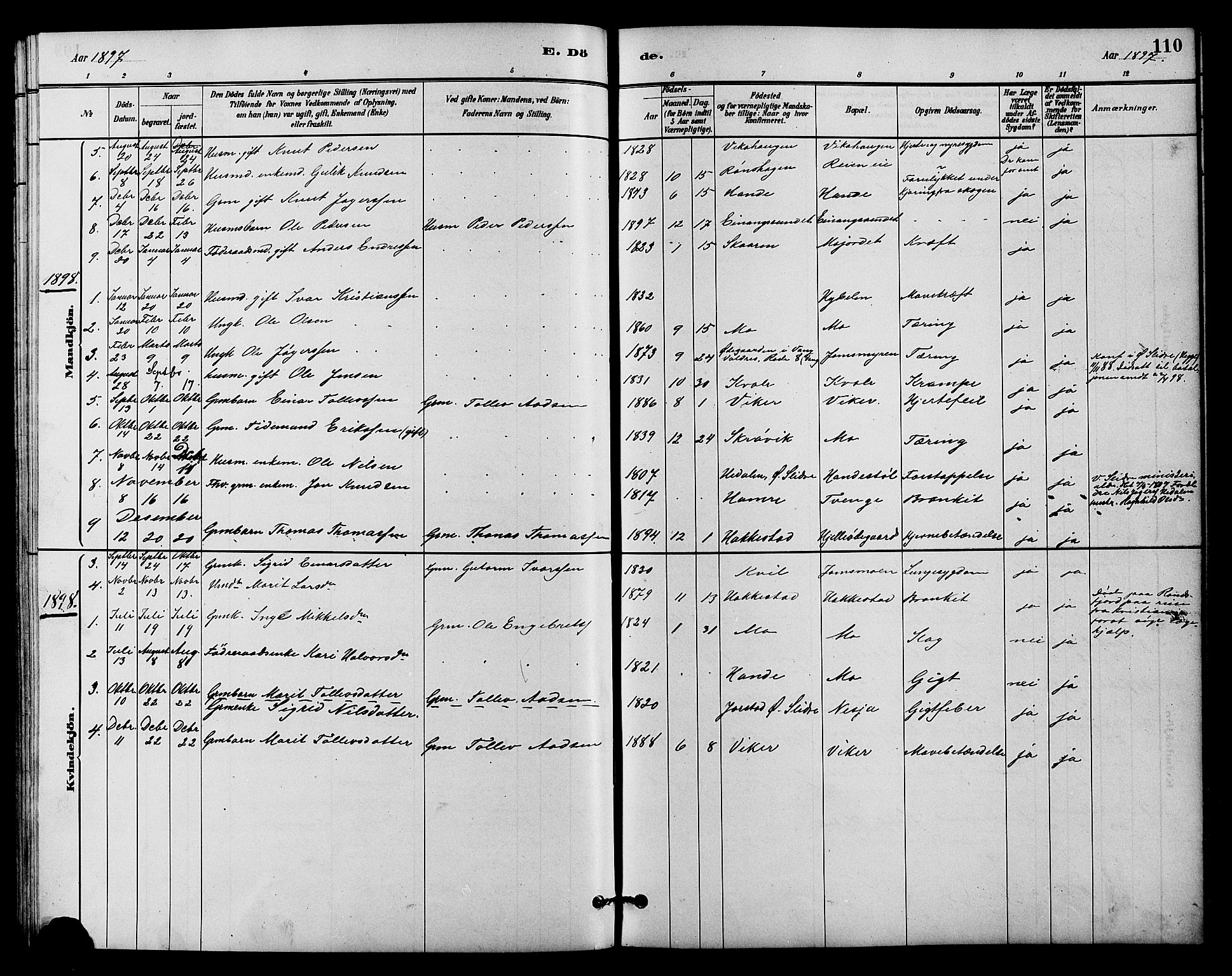 Vestre Slidre prestekontor, SAH/PREST-136/H/Ha/Hab/L0004: Parish register (copy) no. 4, 1881-1912, p. 110