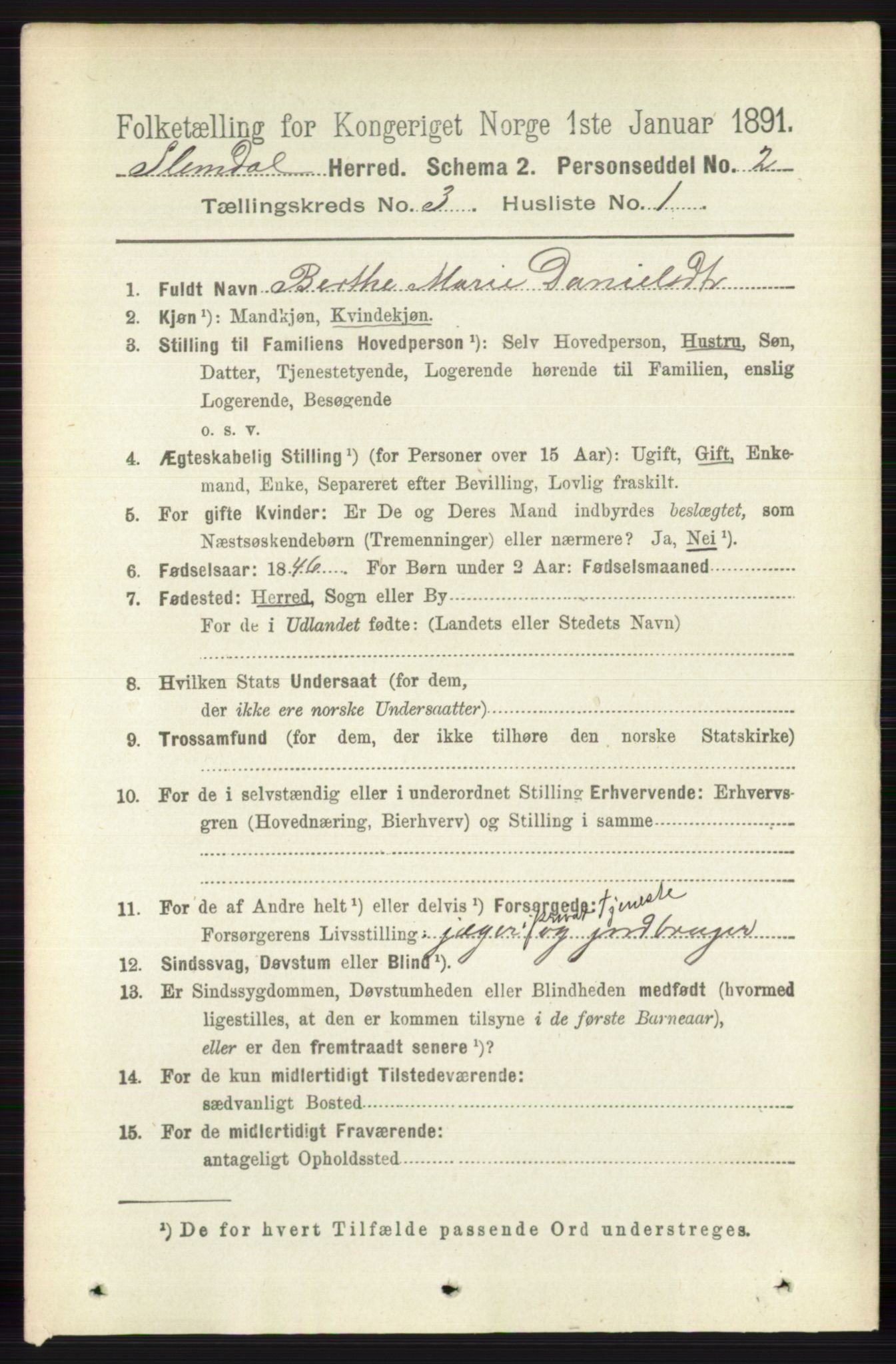 RA, 1891 census for 0811 Slemdal, 1891, p. 755