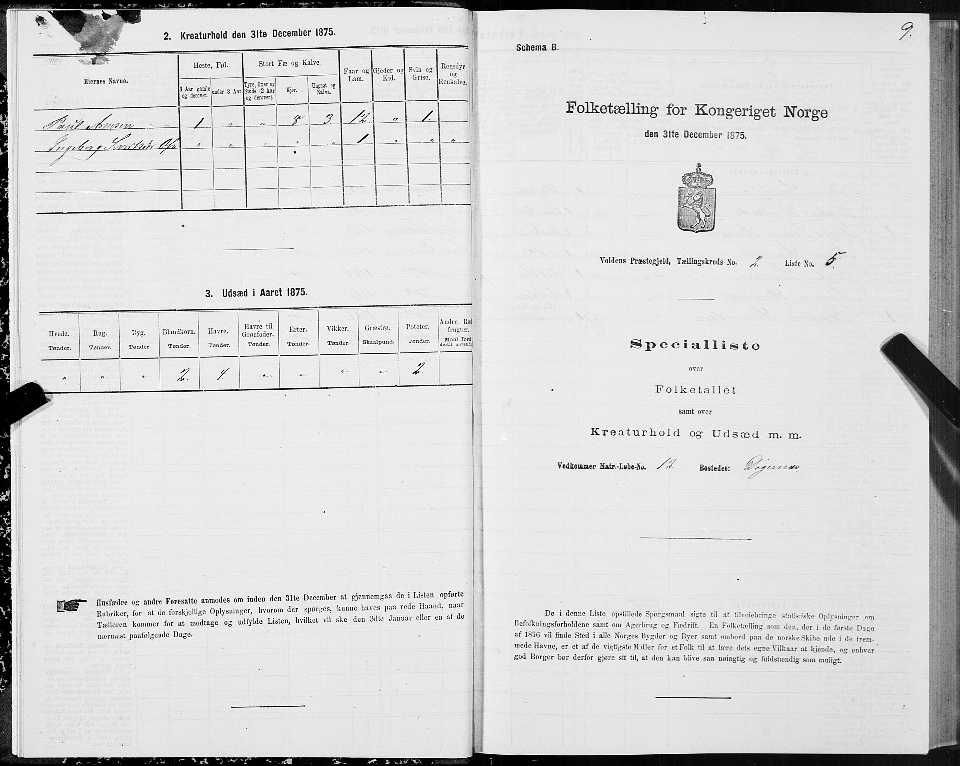 SAT, 1875 census for 1519P Volda, 1875, p. 2009