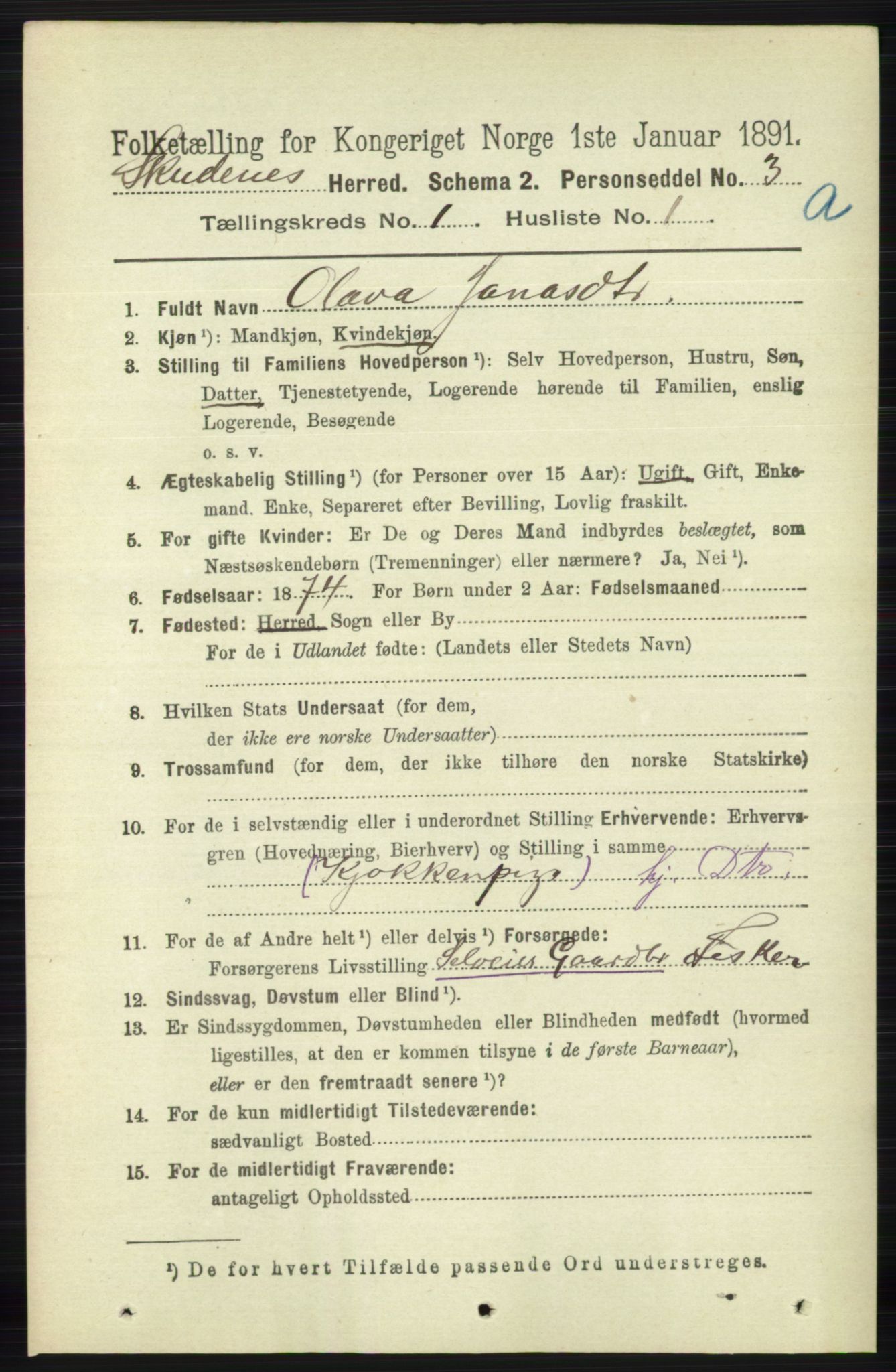 RA, 1891 census for 1150 Skudenes, 1891, p. 111