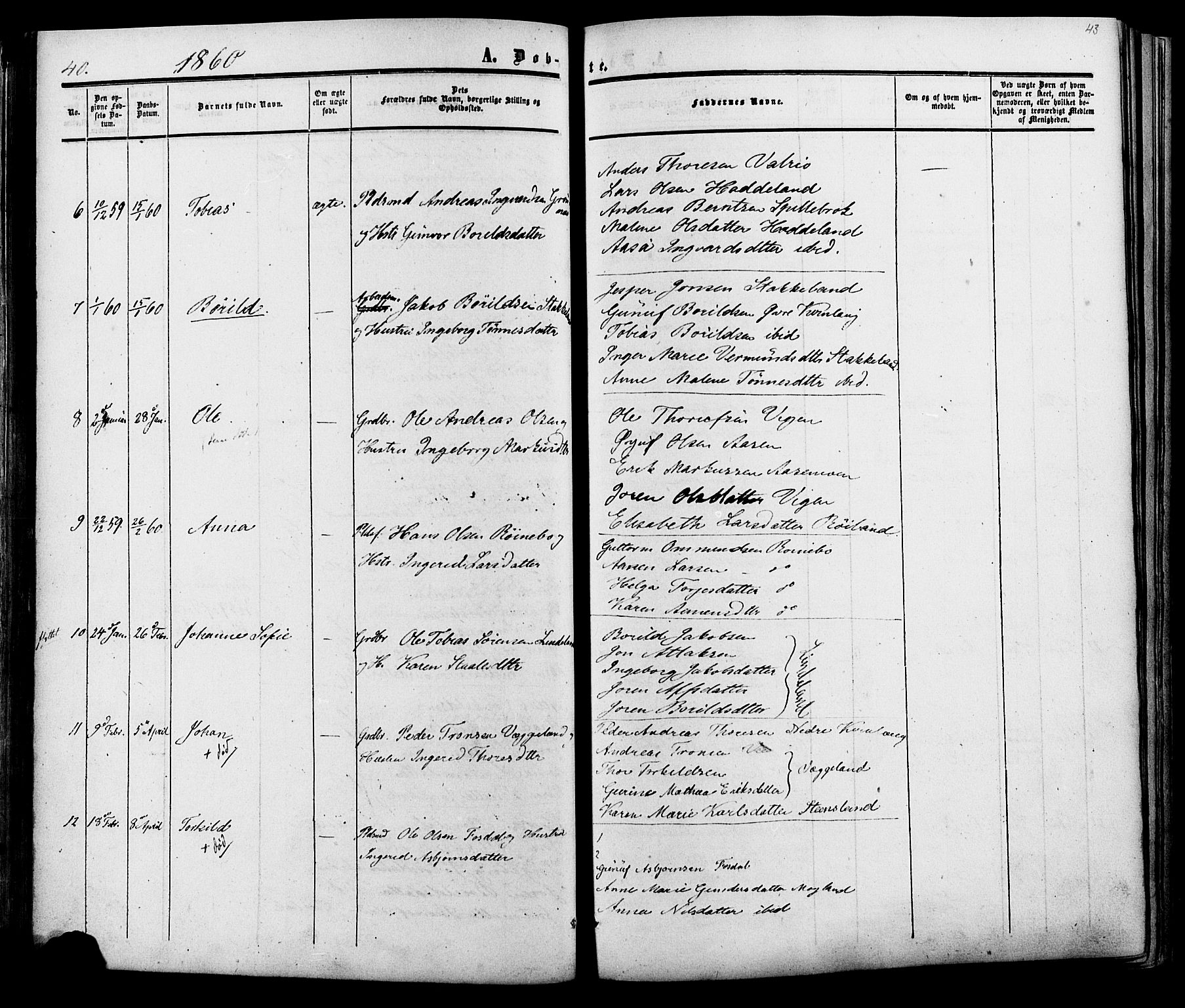Fjotland sokneprestkontor, SAK/1111-0010/F/Fa/L0001: Parish register (official) no. A 1, 1850-1879, p. 43