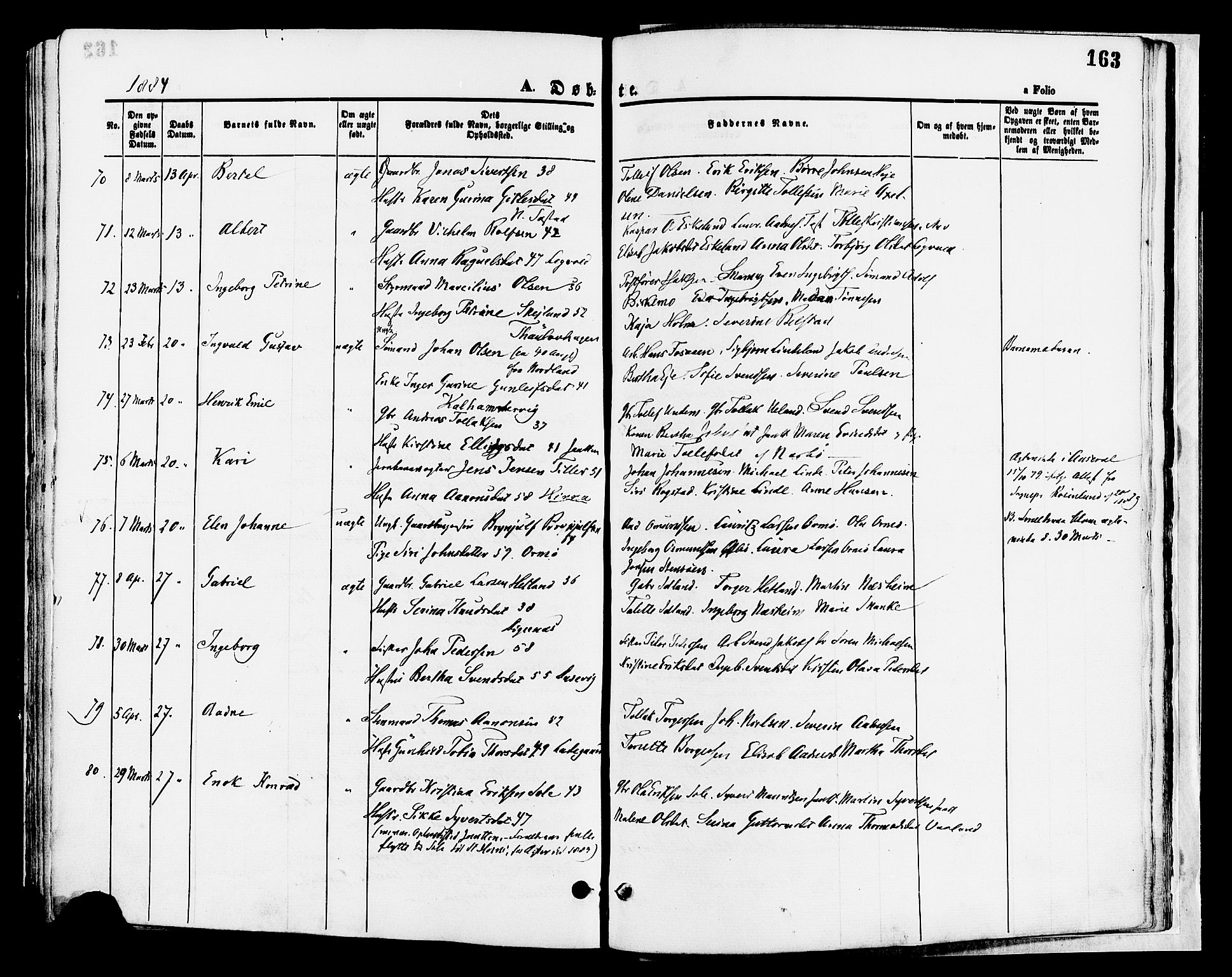 Hetland sokneprestkontor, AV/SAST-A-101826/30/30BA/L0008: Parish register (official) no. A 8, 1877-1884, p. 163