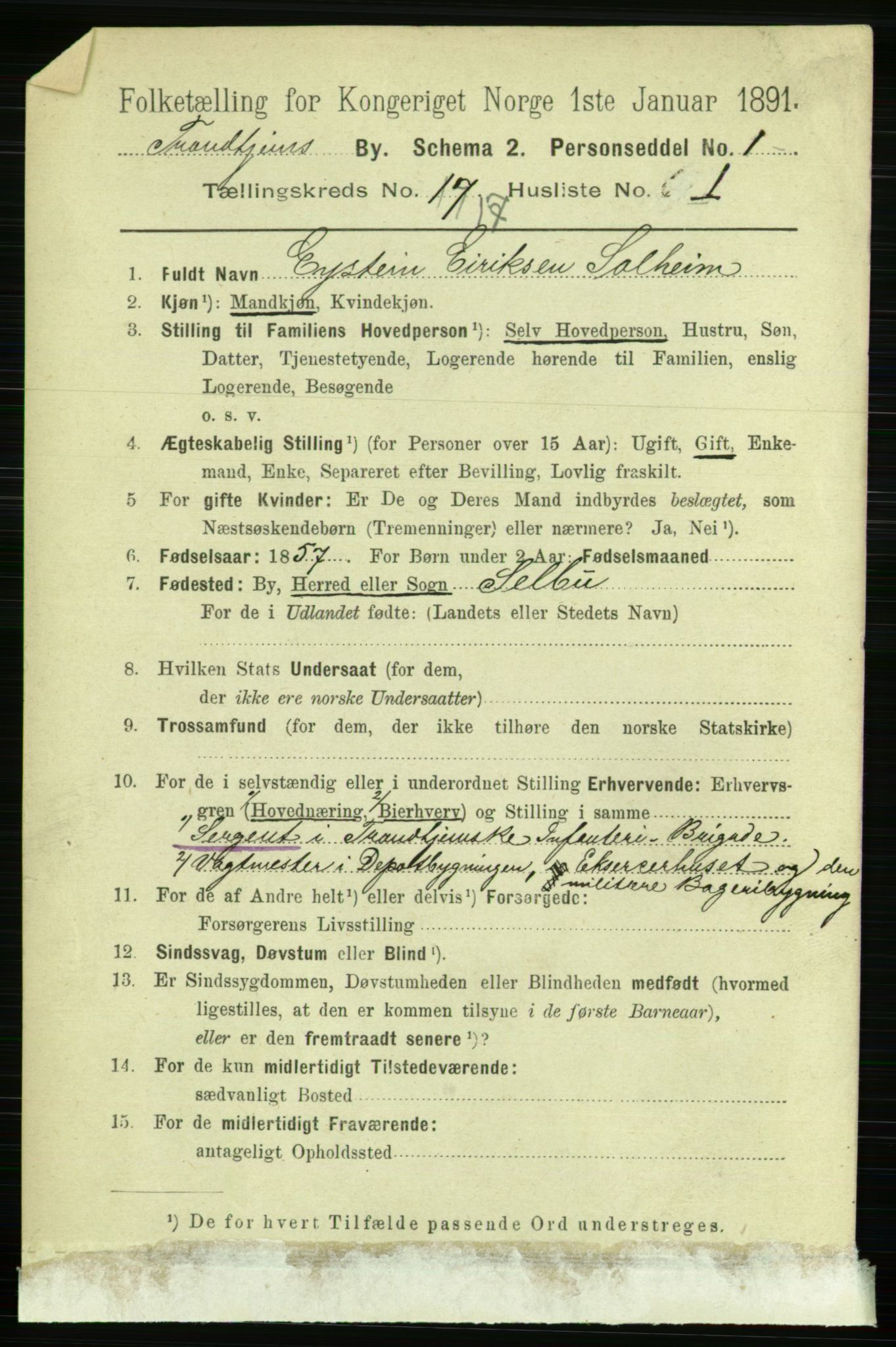 RA, 1891 census for 1601 Trondheim, 1891, p. 13207