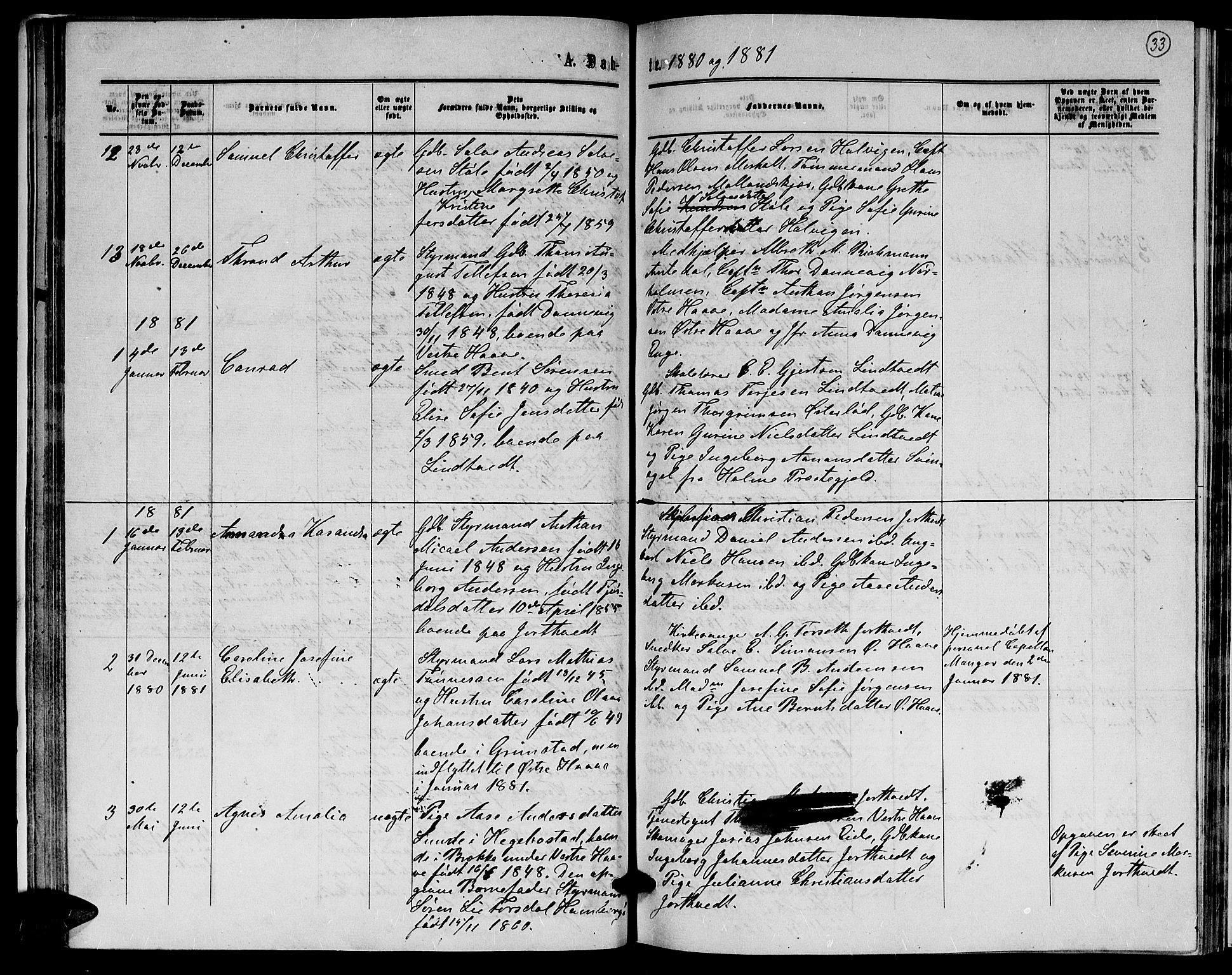 Hommedal sokneprestkontor, AV/SAK-1111-0023/F/Fb/Fba/L0003: Parish register (copy) no. B 3, 1863-1884, p. 33