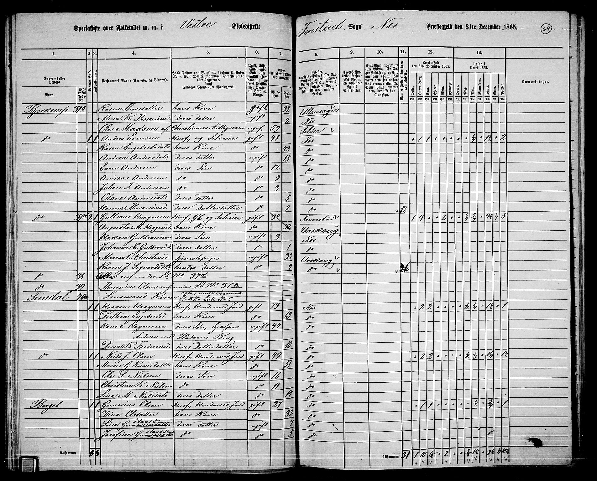 RA, 1865 census for Nes, 1865, p. 62