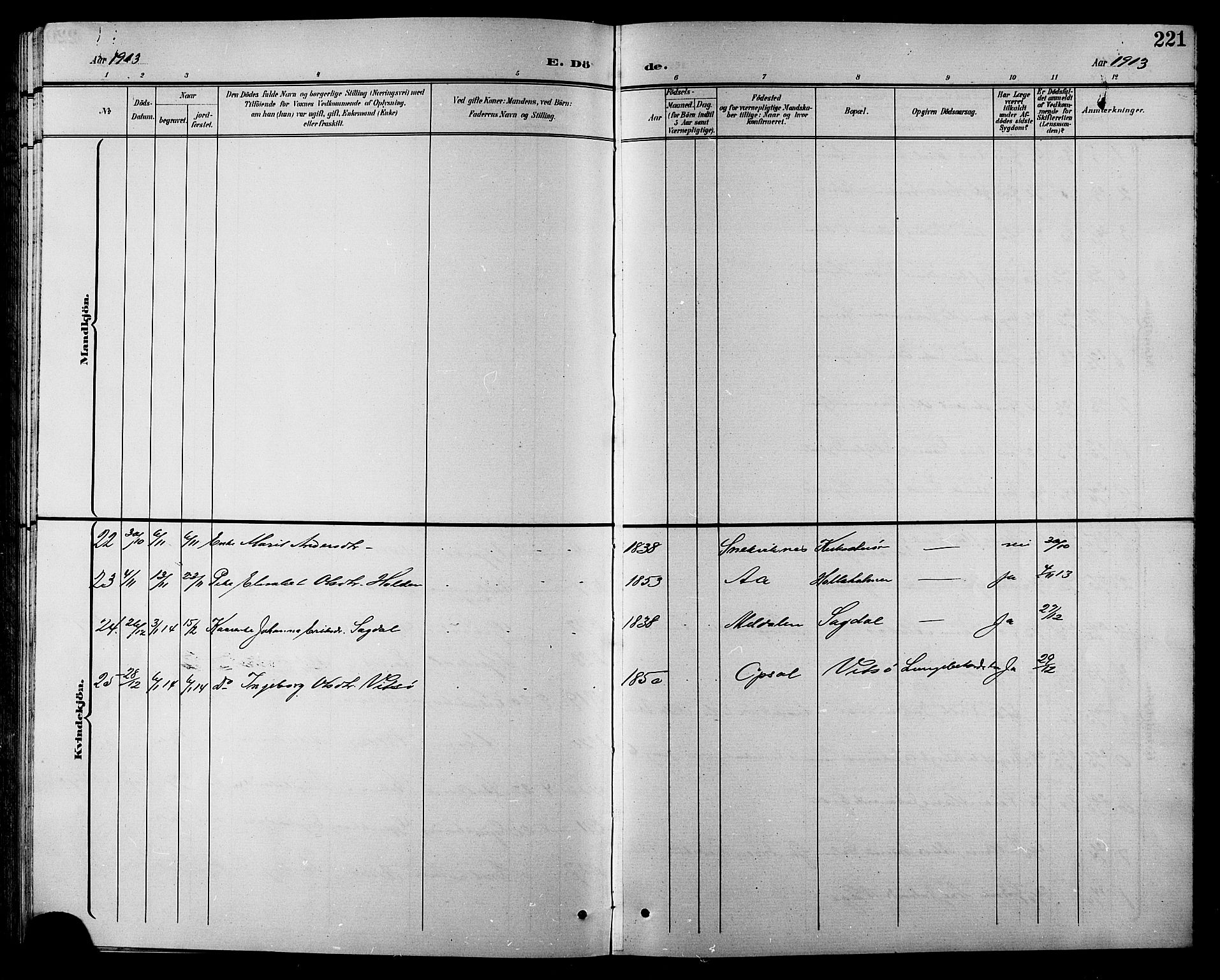 Ministerialprotokoller, klokkerbøker og fødselsregistre - Sør-Trøndelag, AV/SAT-A-1456/630/L0505: Parish register (copy) no. 630C03, 1899-1914, p. 221