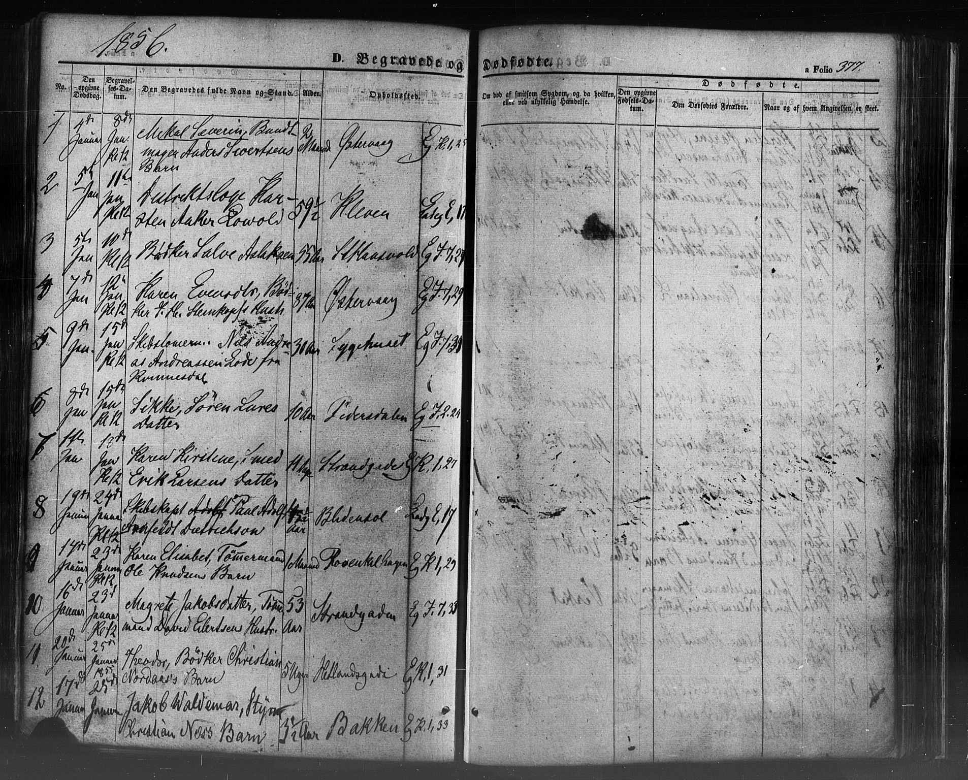 Domkirken sokneprestkontor, SAST/A-101812/001/30/30BB/L0009: Parish register (copy) no. B 9, 1850-1858, p. 377