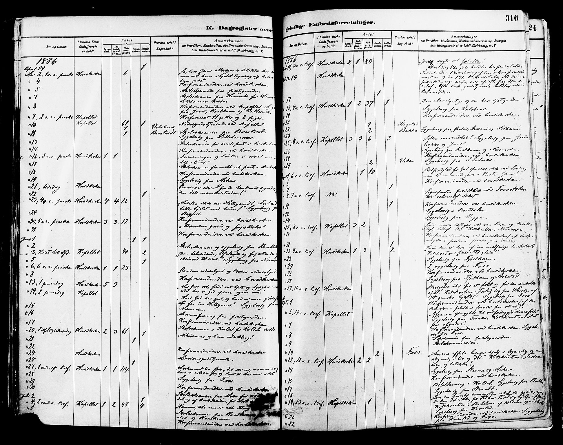 Suldal sokneprestkontor, AV/SAST-A-101845/01/IV/L0011: Parish register (official) no. A 11, 1878-1900, p. 316