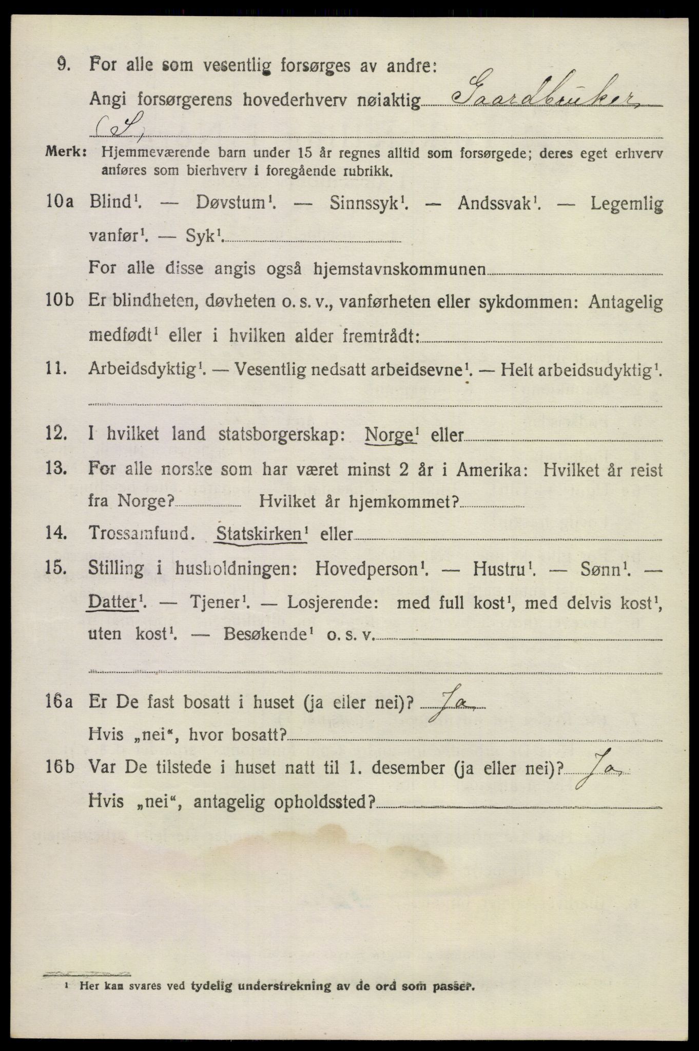 SAKO, 1920 census for Lunde, 1920, p. 2994