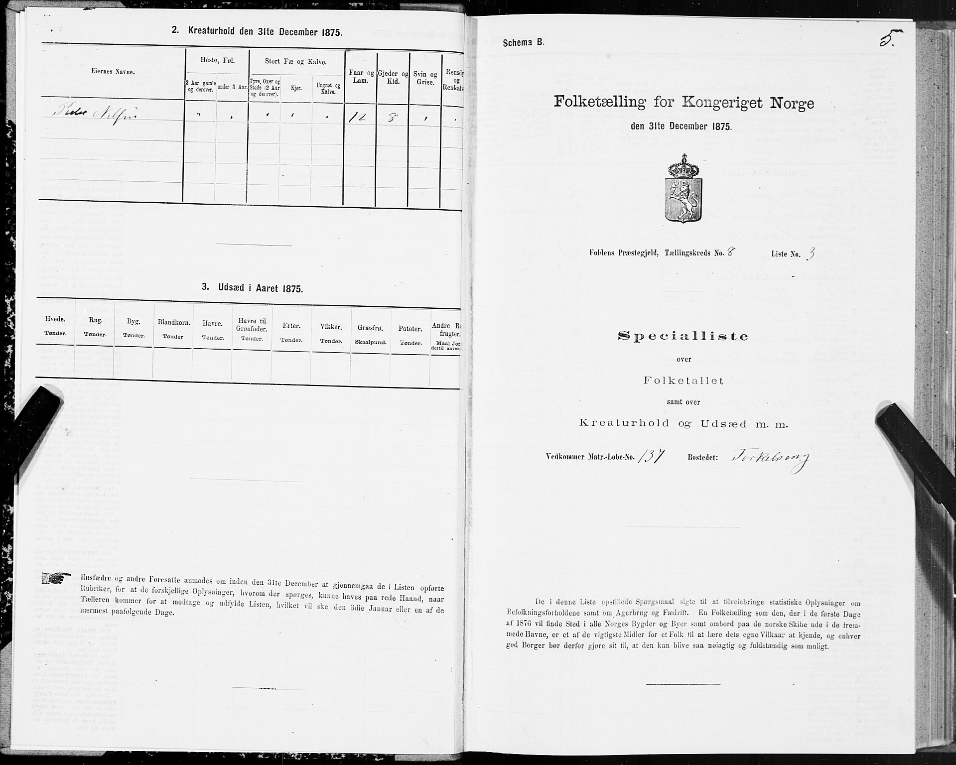 SAT, 1875 census for 1845P Folda, 1875, p. 3005