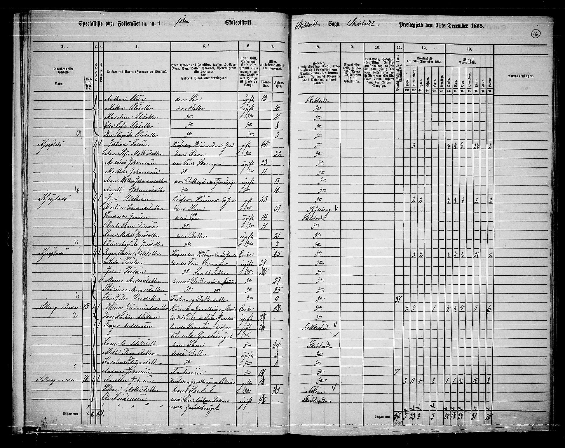 RA, 1865 census for Skiptvet, 1865, p. 15