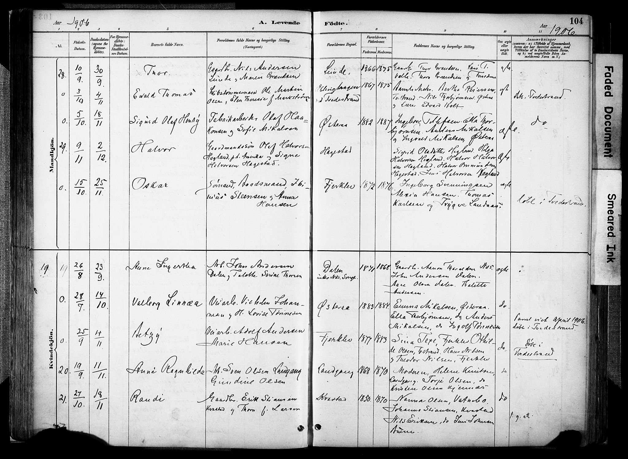 Holt sokneprestkontor, AV/SAK-1111-0021/F/Fa/L0012: Parish register (official) no. A 12, 1885-1907, p. 104