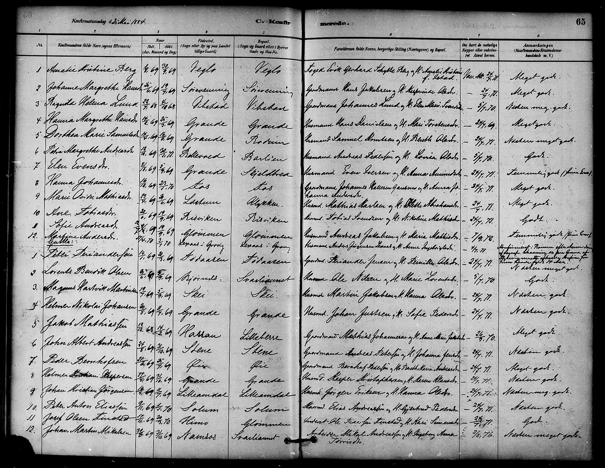 Ministerialprotokoller, klokkerbøker og fødselsregistre - Nord-Trøndelag, SAT/A-1458/764/L0555: Parish register (official) no. 764A10, 1881-1896, p. 65