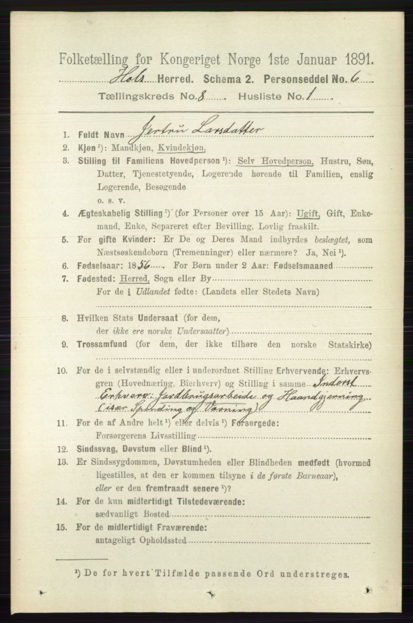 RA, 1891 census for 0620 Hol, 1891, p. 2244