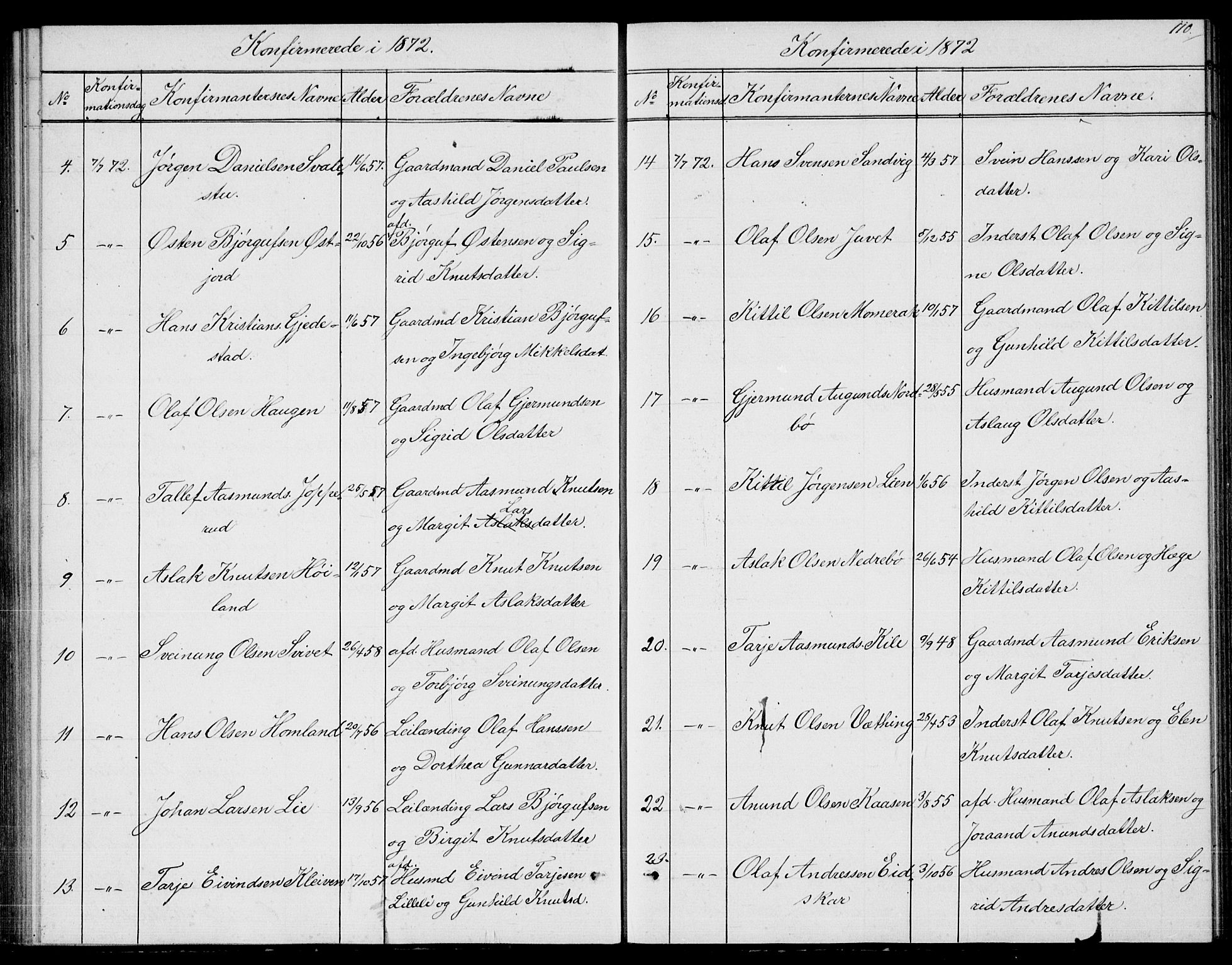 Fyresdal kirkebøker, AV/SAKO-A-263/G/Ga/L0004: Parish register (copy) no. I 4, 1864-1892, p. 110