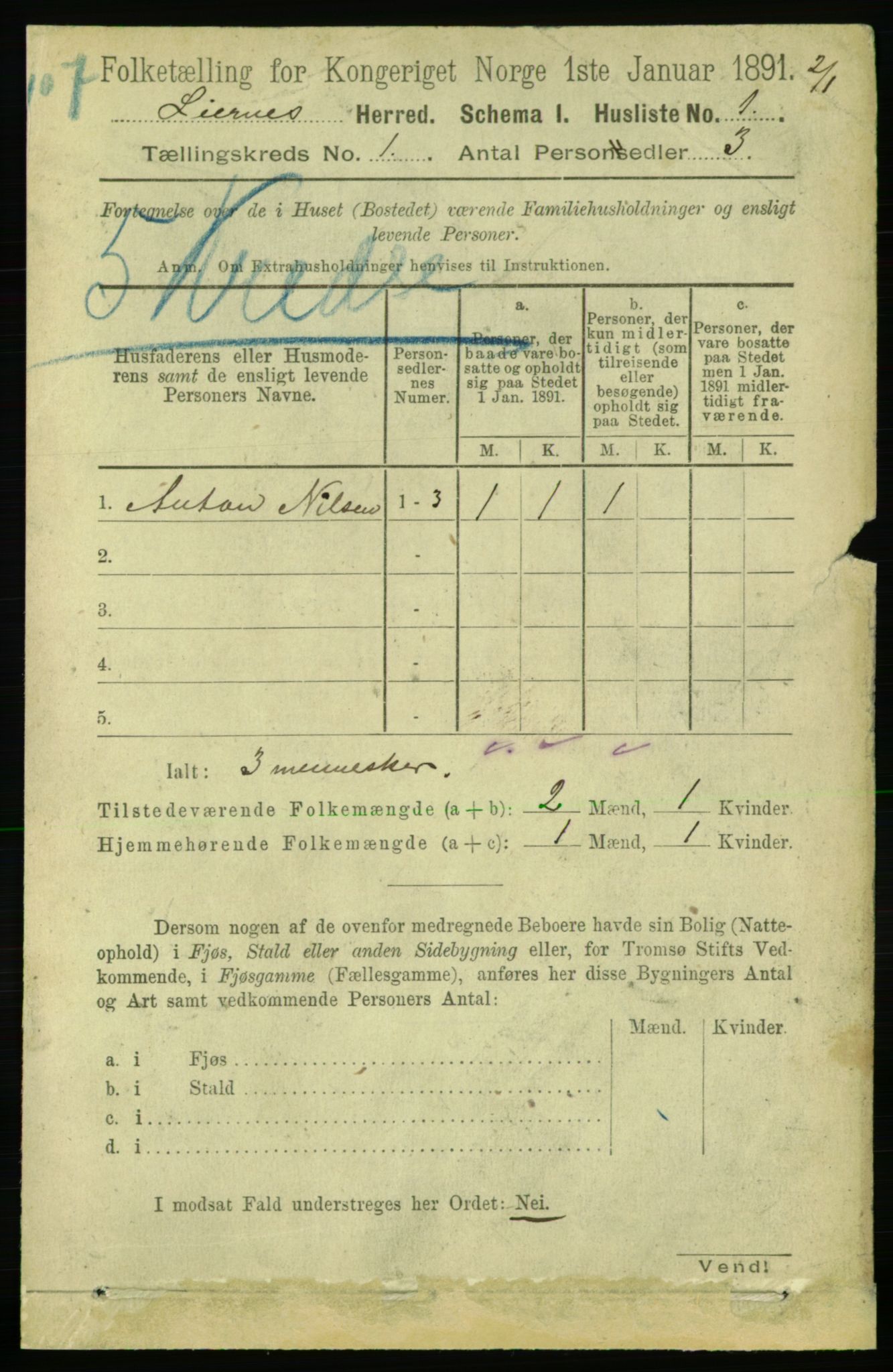 RA, 1891 census for 1737 Lierne, 1891, p. 16