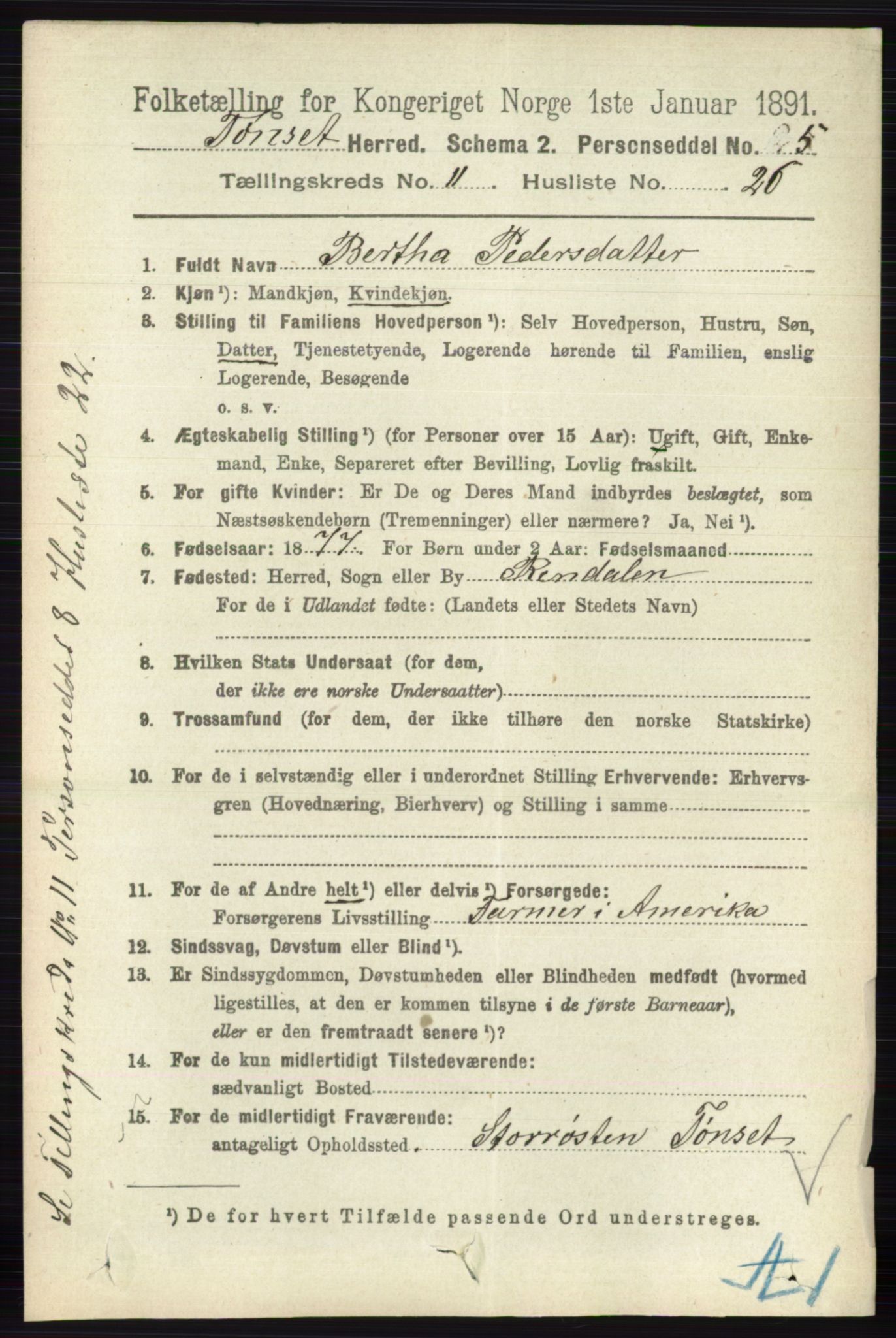 RA, 1891 census for 0437 Tynset, 1891, p. 3147