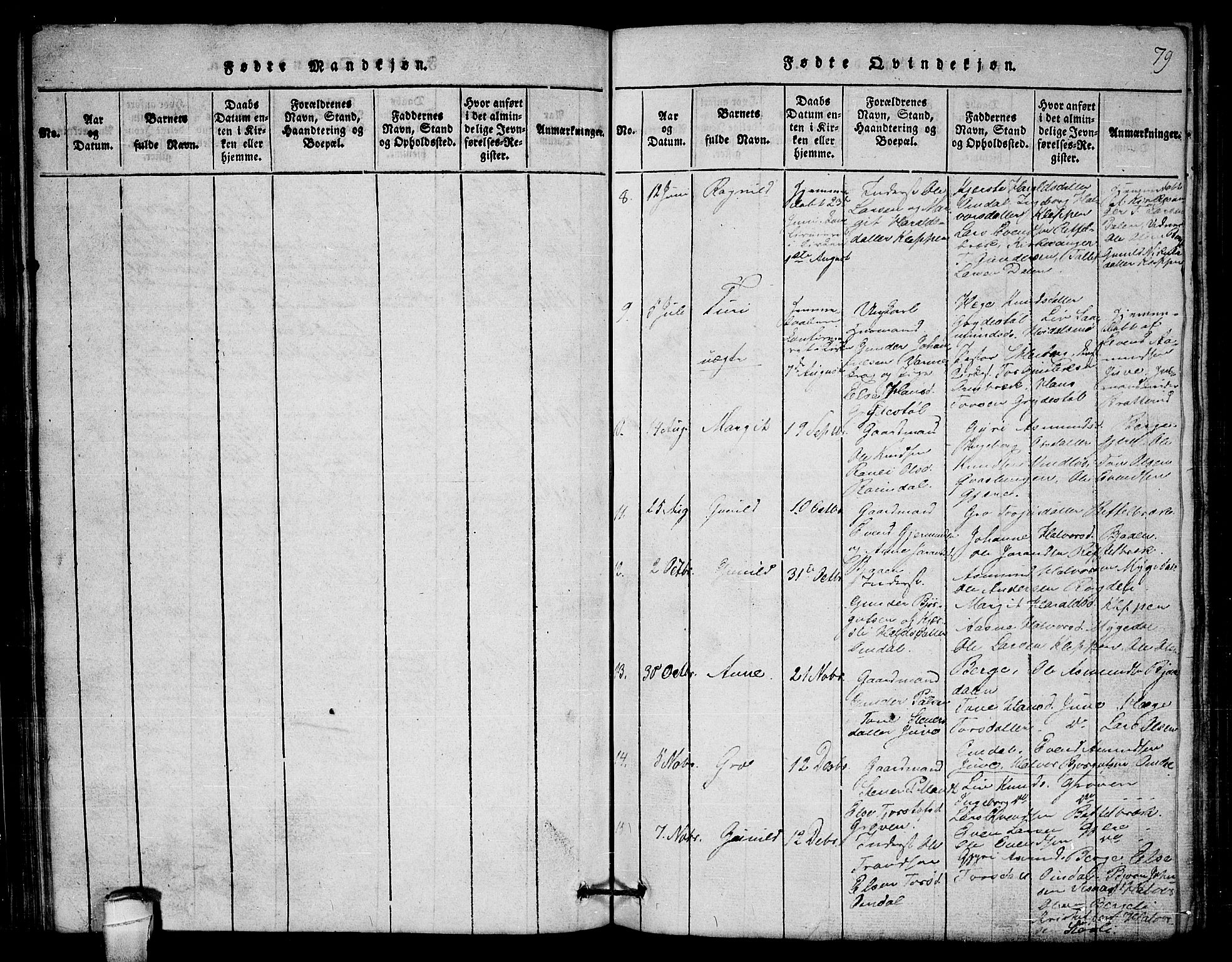 Lårdal kirkebøker, SAKO/A-284/G/Gb/L0001: Parish register (copy) no. II 1, 1815-1865, p. 79