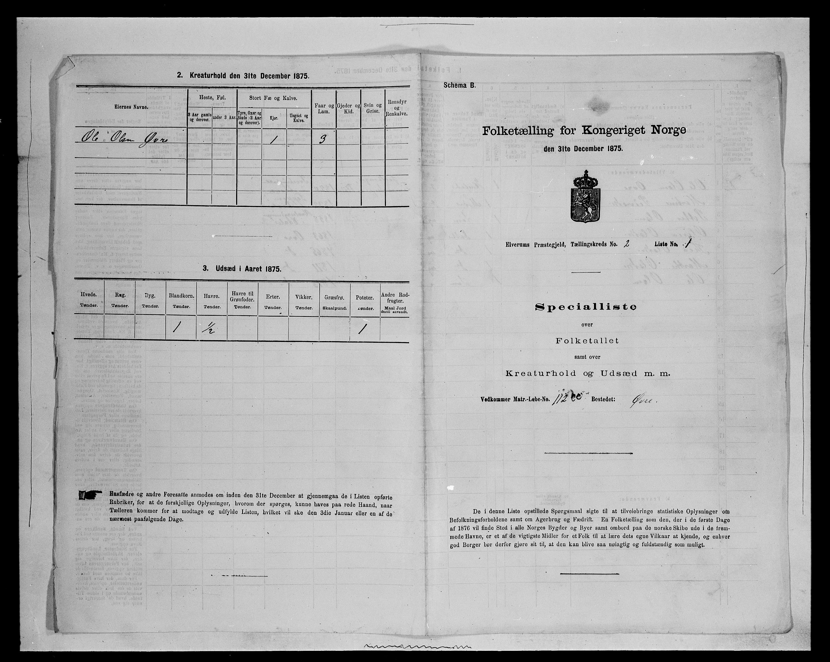 SAH, 1875 census for 0427P Elverum, 1875, p. 496