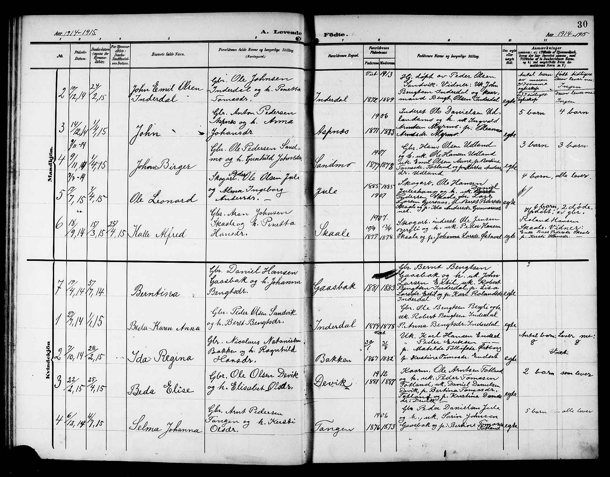 Ministerialprotokoller, klokkerbøker og fødselsregistre - Nord-Trøndelag, SAT/A-1458/757/L0506: Parish register (copy) no. 757C01, 1904-1922, p. 30