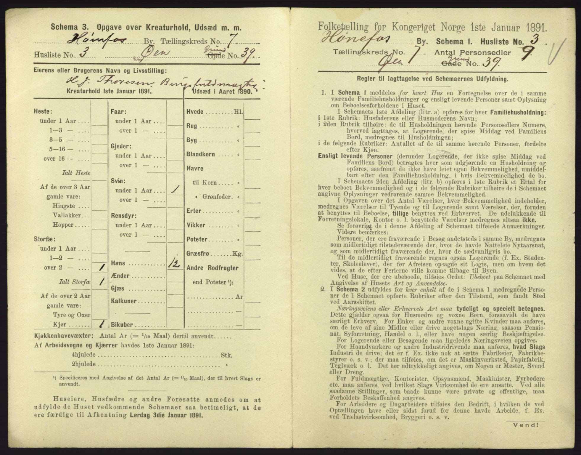 RA, 1891 census for 0601 Hønefoss, 1891, p. 193