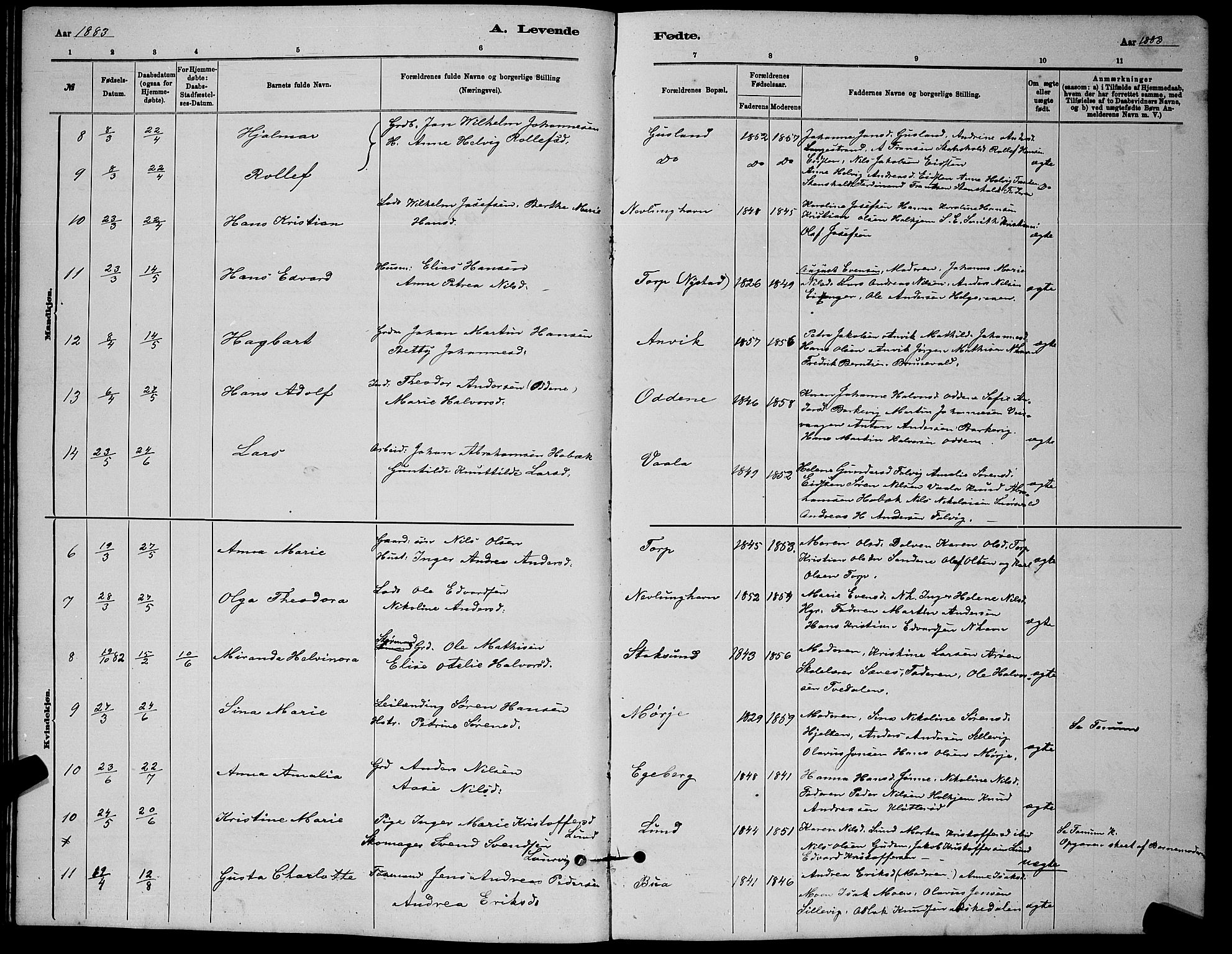 Brunlanes kirkebøker, AV/SAKO-A-342/G/Gb/L0002: Parish register (copy) no. II 2, 1878-1902