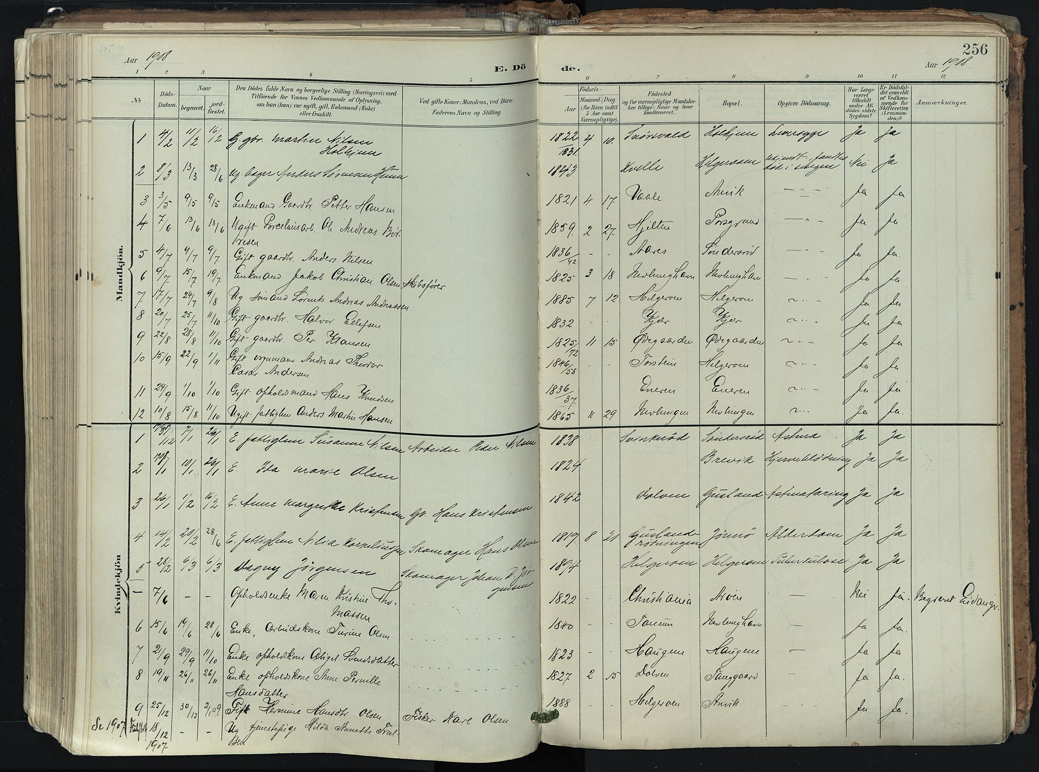 Brunlanes kirkebøker, SAKO/A-342/F/Fb/L0003: Parish register (official) no. II 3, 1900-1922, p. 256