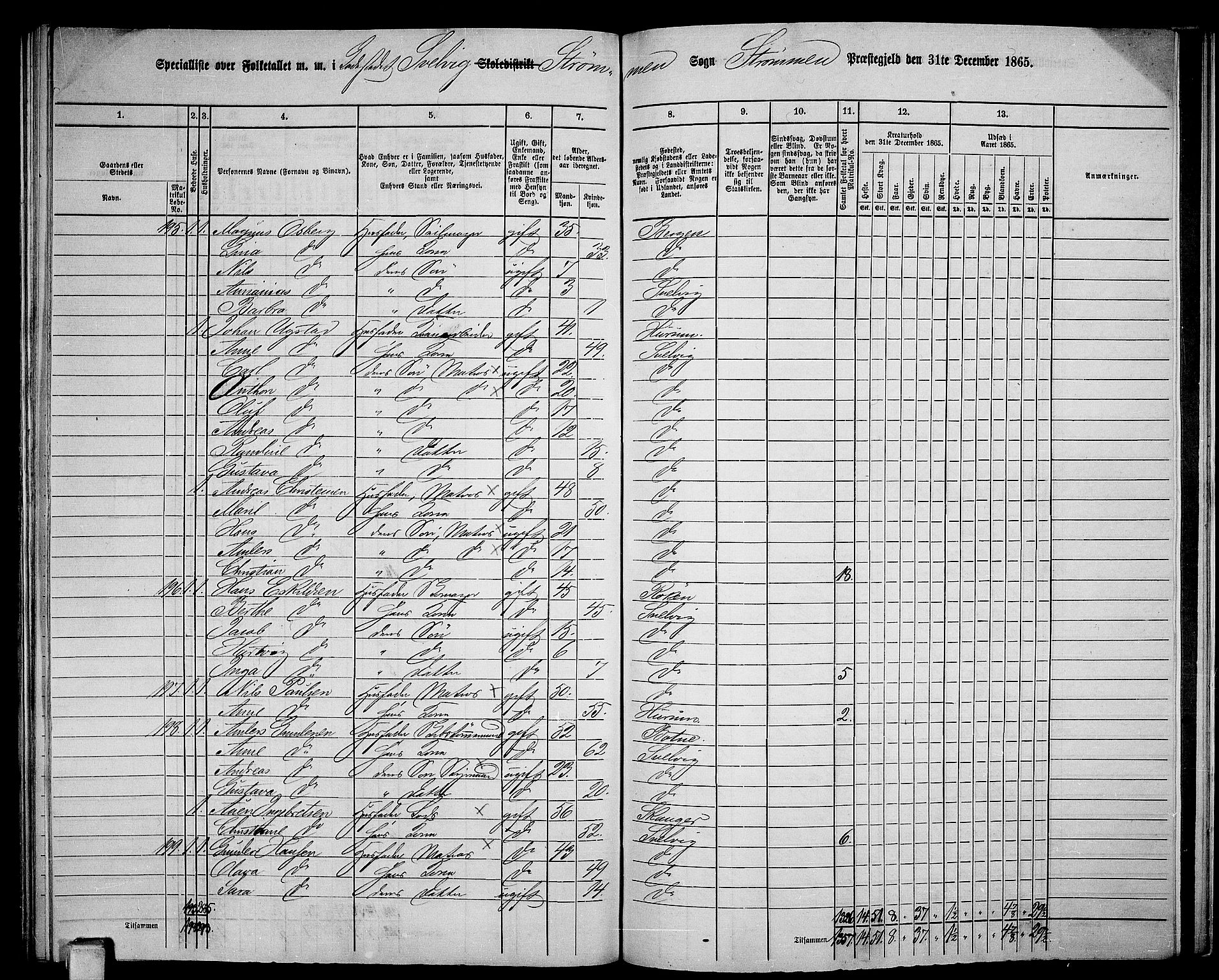 RA, 1865 census for Strømm, 1865, p. 108