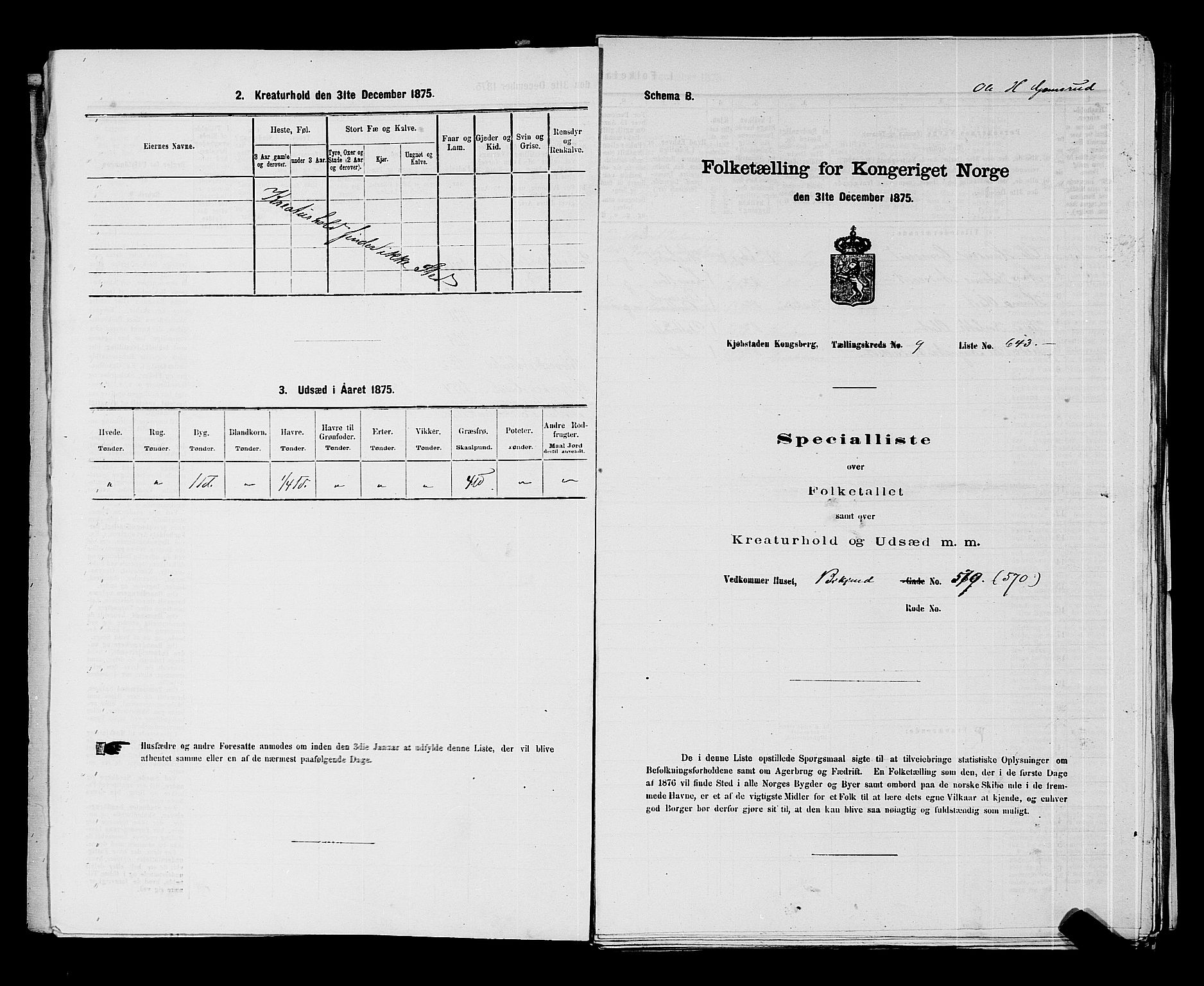 SAKO, 1875 census for 0604B Kongsberg/Kongsberg, 1875, p. 1420