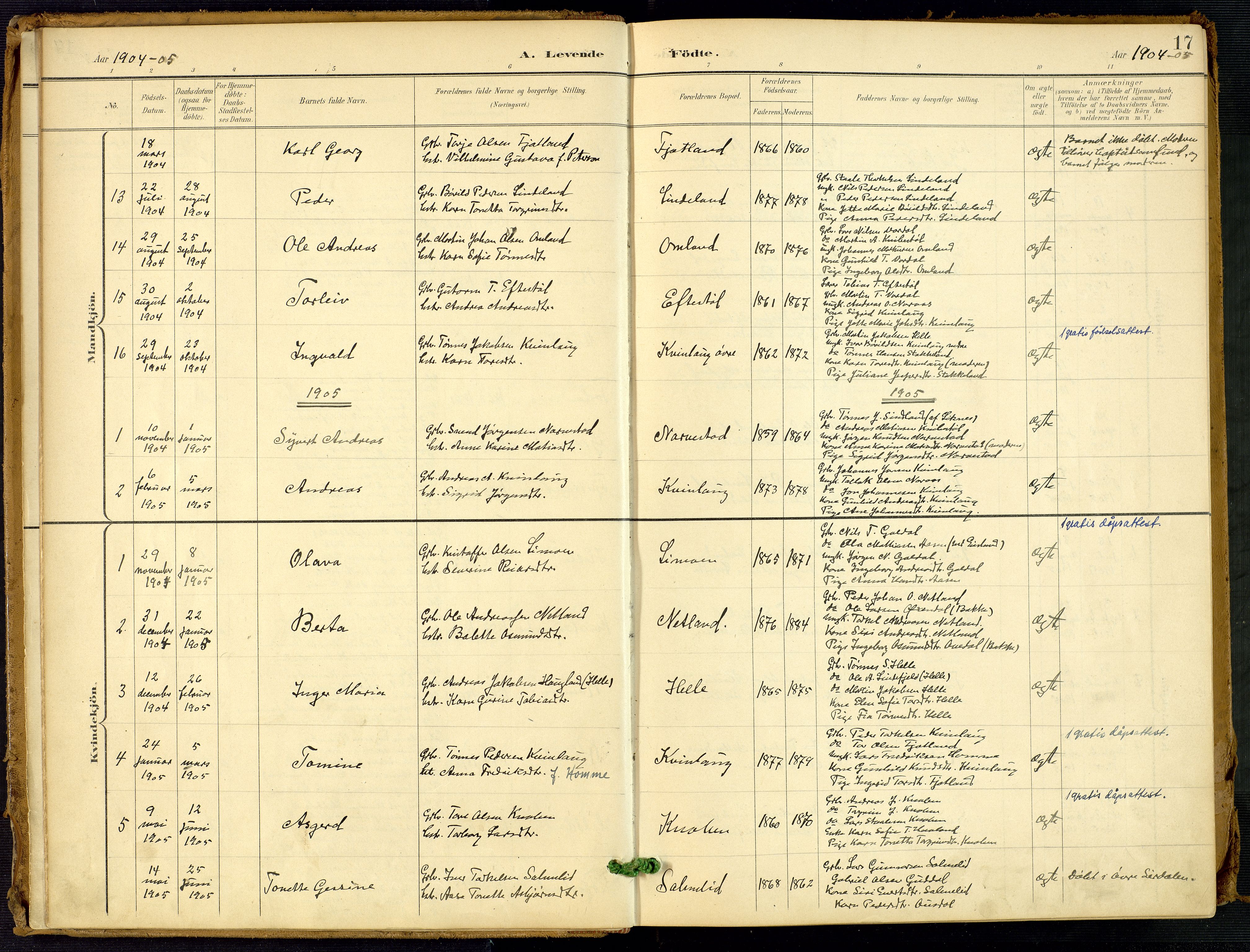 Fjotland sokneprestkontor, AV/SAK-1111-0010/F/Fa/L0003: Parish register (official) no. A 3, 1899-1917, p. 17