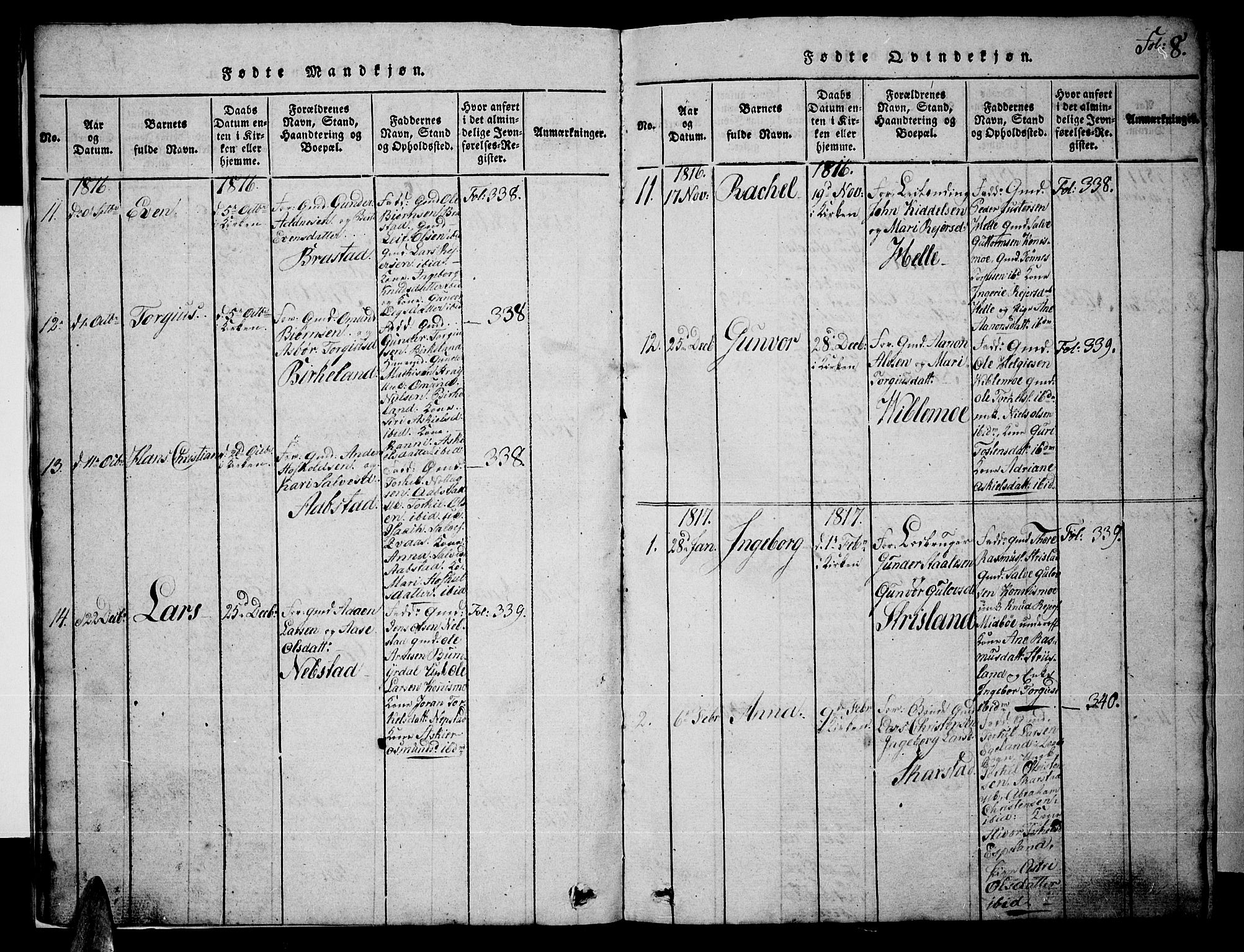 Nord-Audnedal sokneprestkontor, AV/SAK-1111-0032/F/Fb/Fba/L0001: Parish register (copy) no. B 1, 1815-1856, p. 8