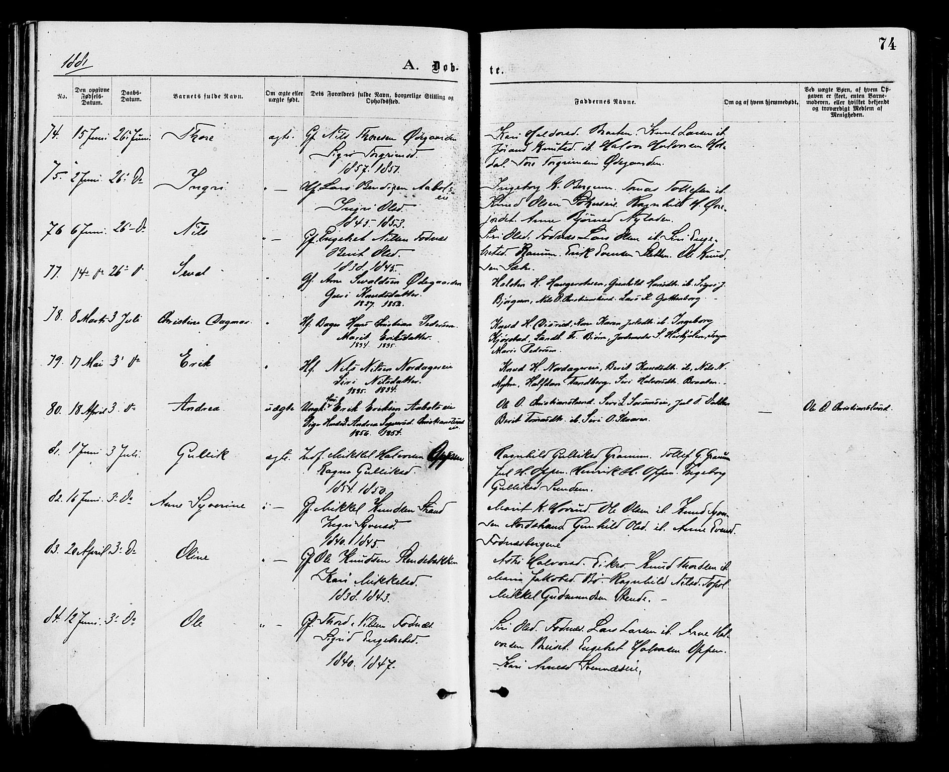 Nord-Aurdal prestekontor, SAH/PREST-132/H/Ha/Haa/L0009: Parish register (official) no. 9, 1876-1882, p. 74