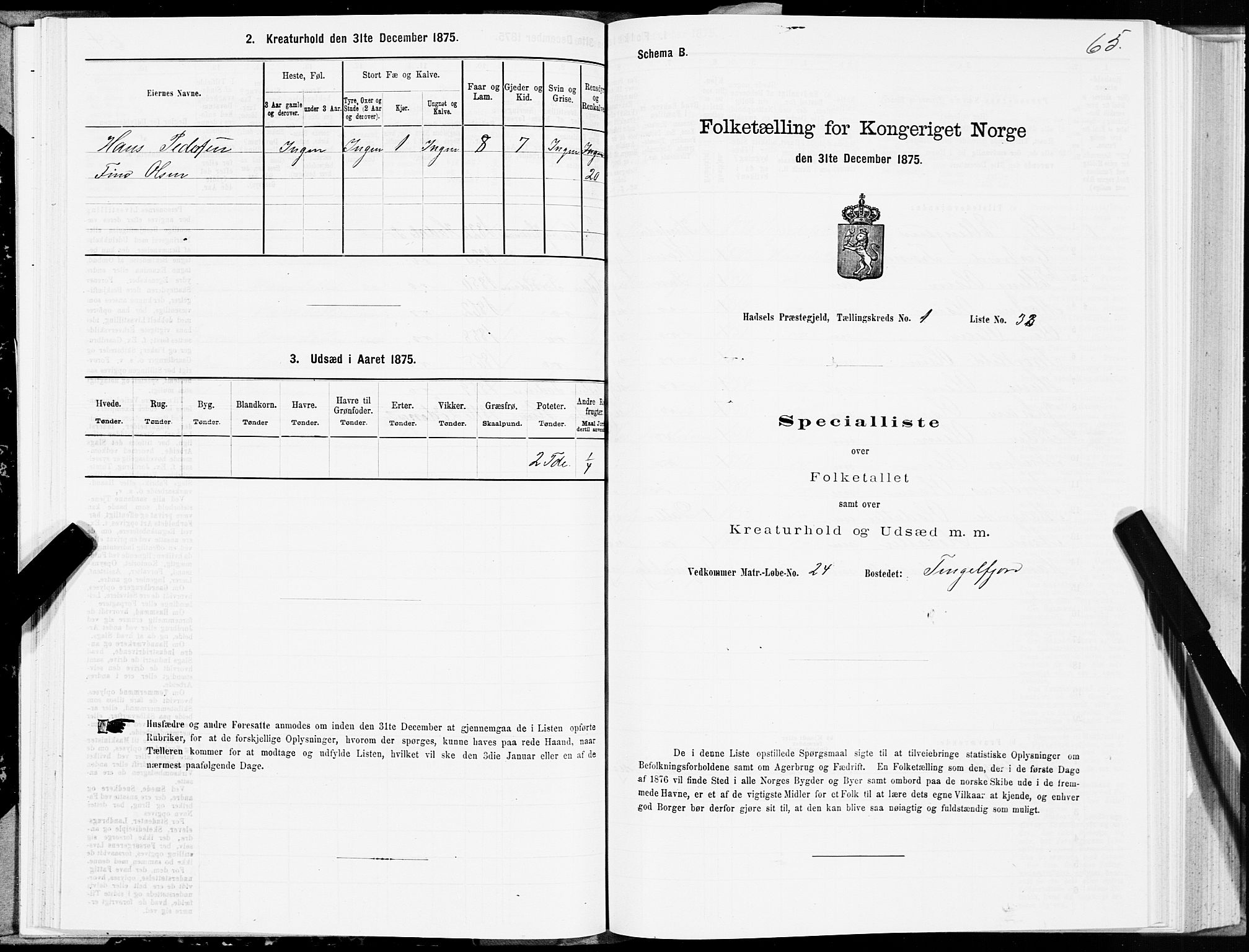 SAT, 1875 census for 1866P Hadsel, 1875, p. 1065
