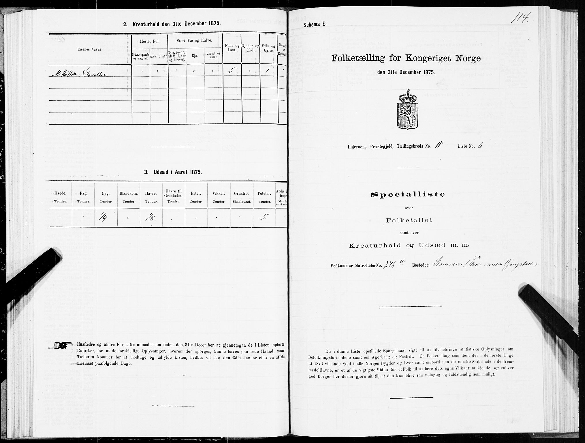 SAT, 1875 census for 1729P Inderøy, 1875, p. 6114