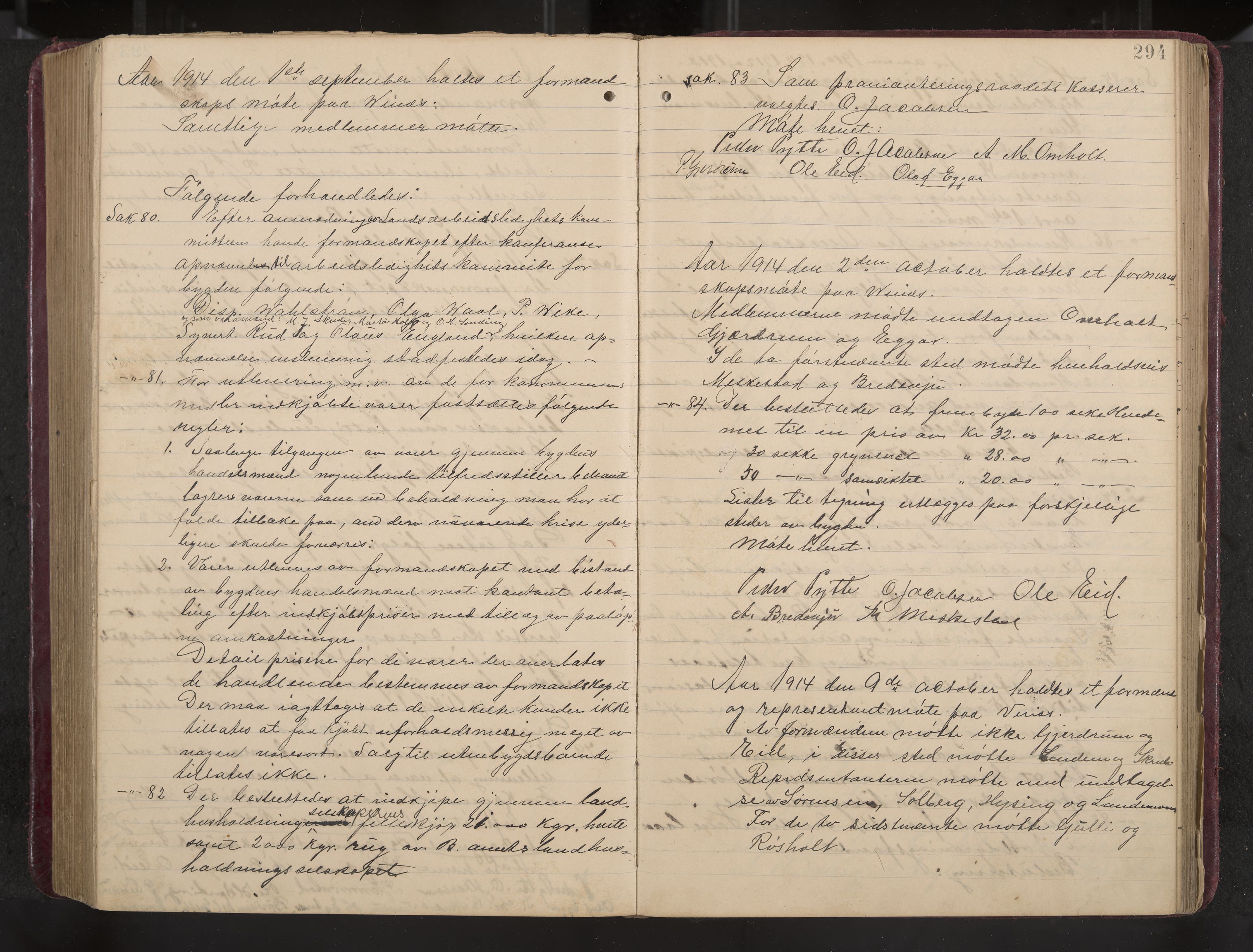 Ytre Sandsvær formannskap og sentraladministrasjon, IKAK/0629021/A/Aa/L0001: Møtebok med register, 1902-1919, p. 294
