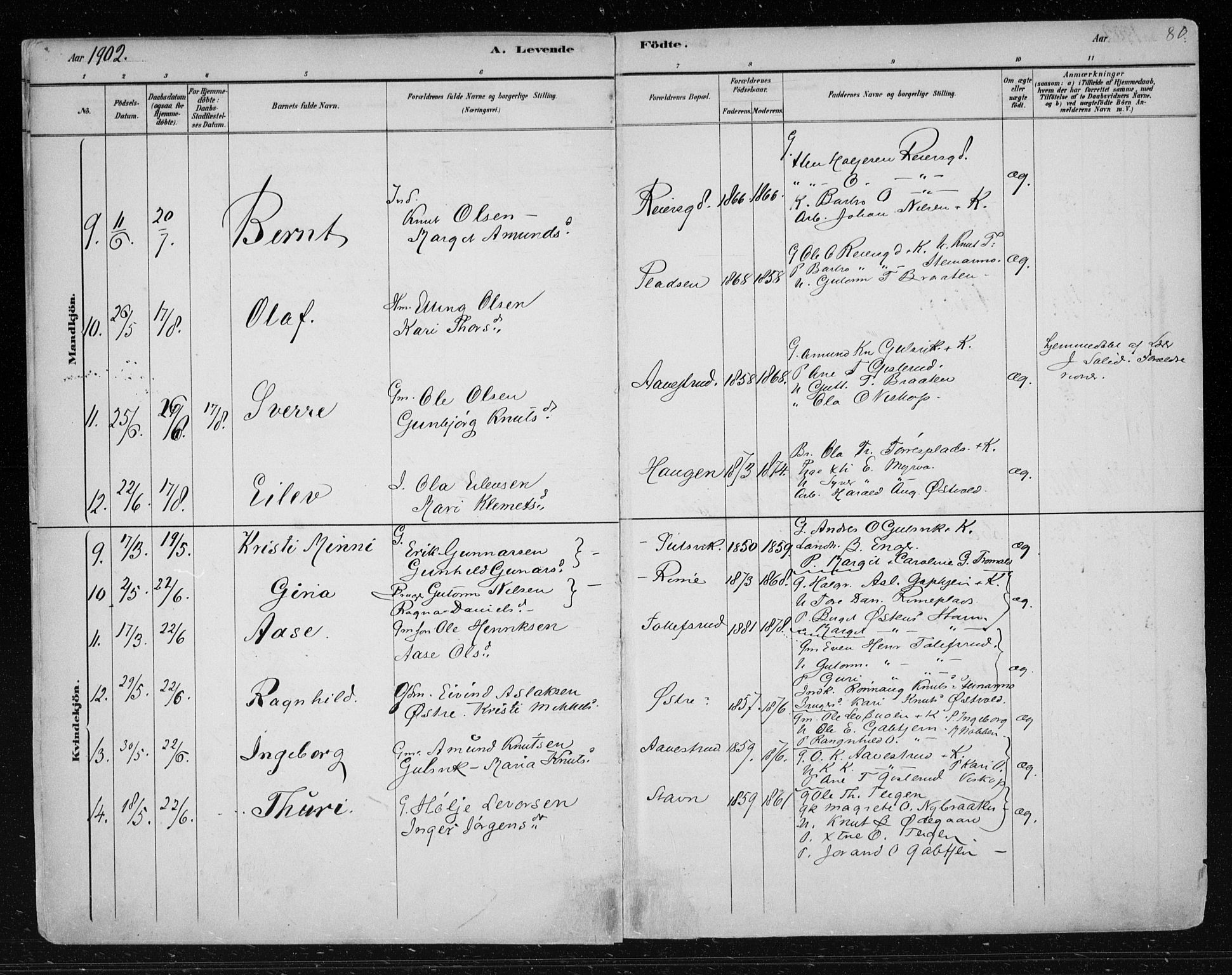 Nes kirkebøker, AV/SAKO-A-236/F/Fa/L0012: Parish register (official) no. 12, 1881-1917, p. 80