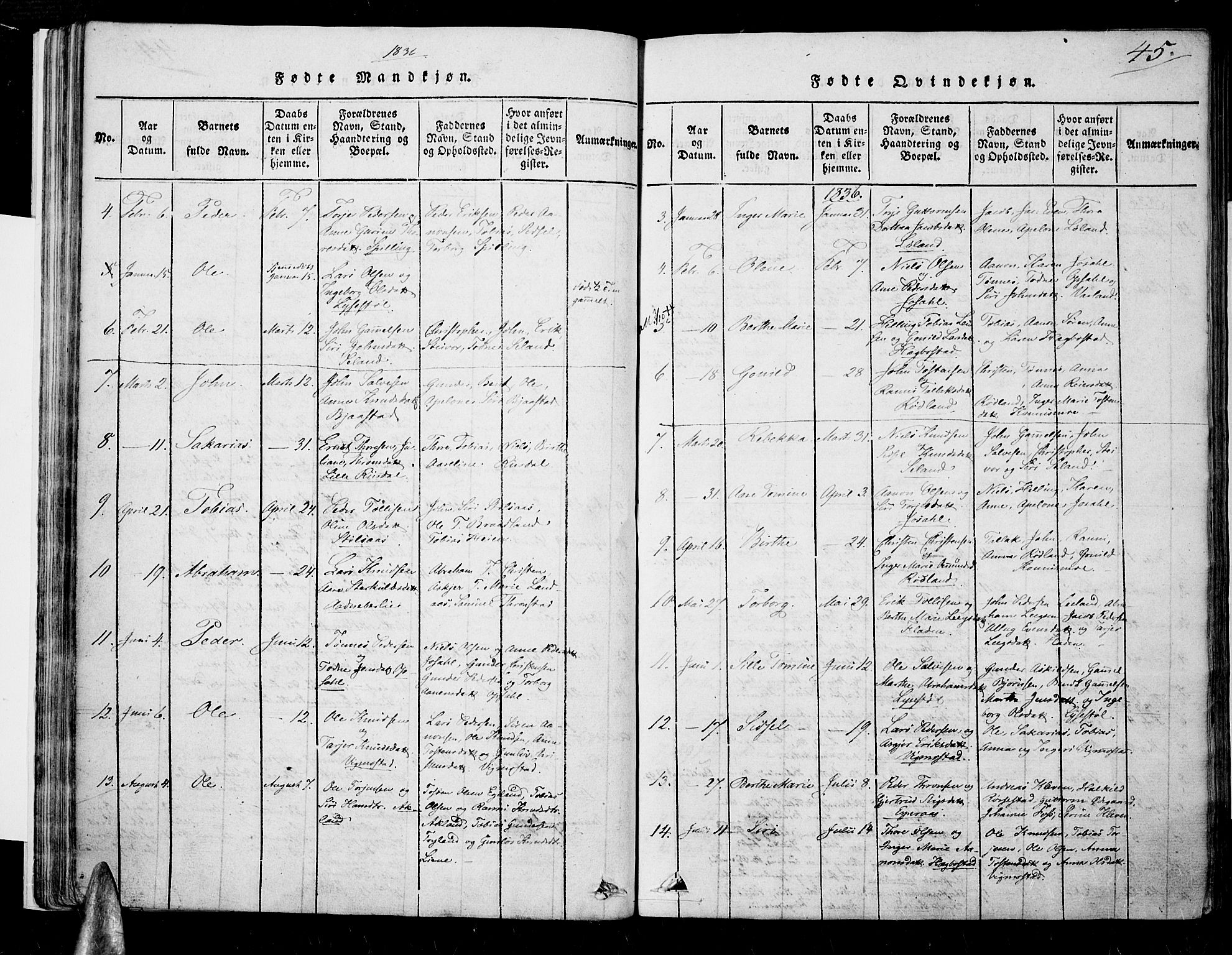 Nord-Audnedal sokneprestkontor, SAK/1111-0032/F/Fa/Fab/L0001: Parish register (official) no. A 1, 1816-1858, p. 45