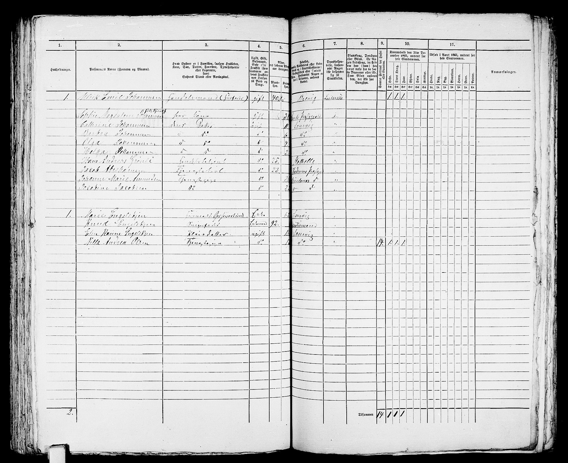 RA, 1865 census for Larvik, 1865, p. 452