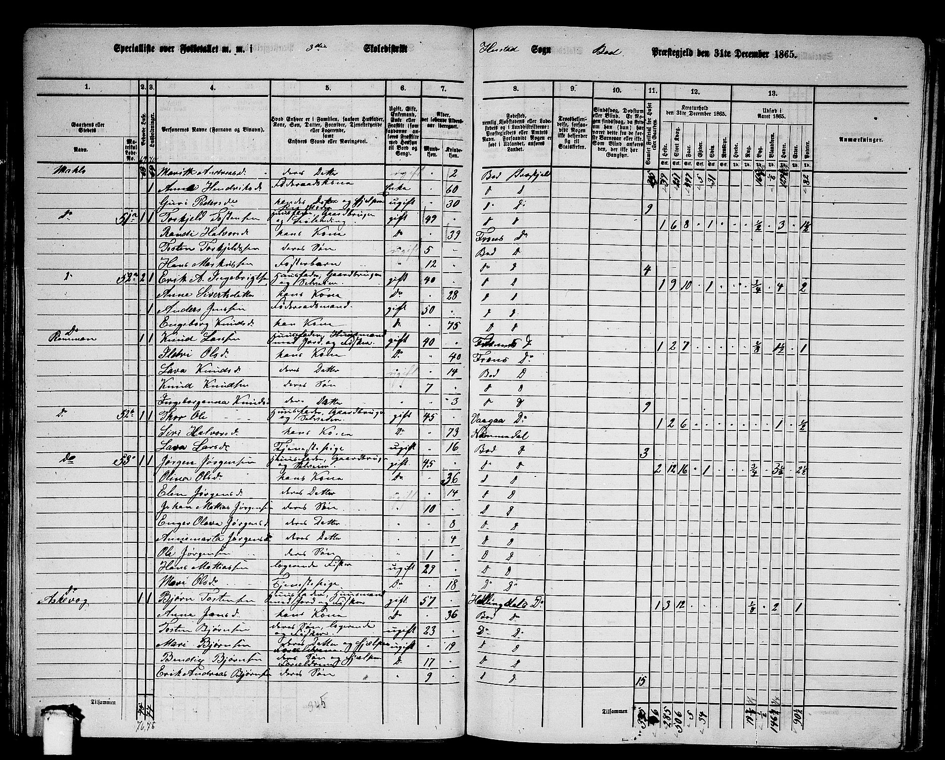 RA, 1865 census for Bud, 1865, p. 43