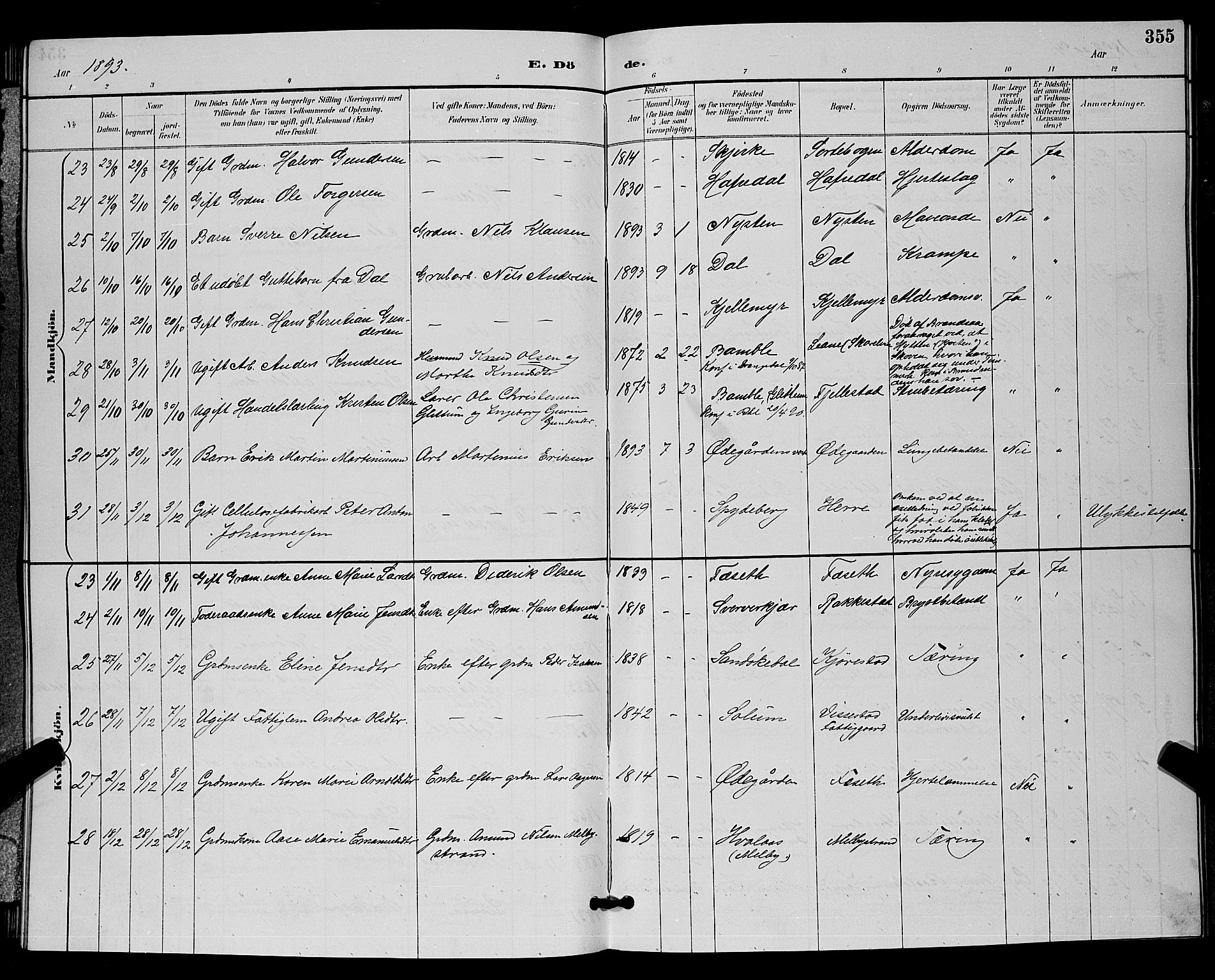 Bamble kirkebøker, AV/SAKO-A-253/G/Ga/L0009: Parish register (copy) no. I 9, 1888-1900, p. 355