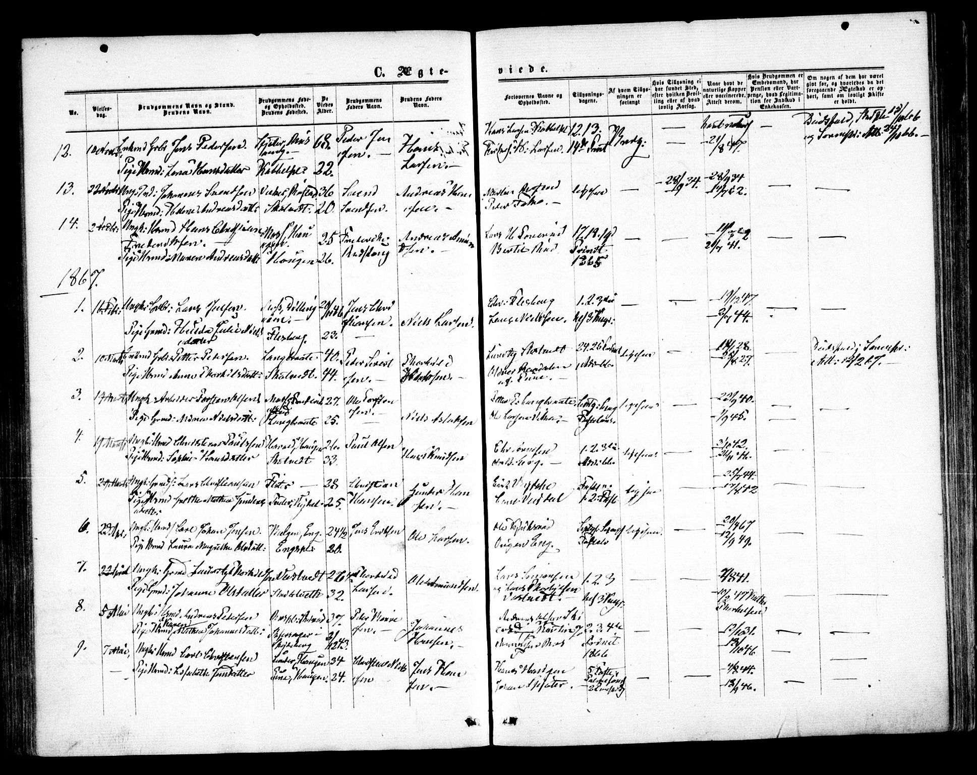 Våler prestekontor Kirkebøker, AV/SAO-A-11083/F/Fa/L0008: Parish register (official) no. I 8, 1862-1876