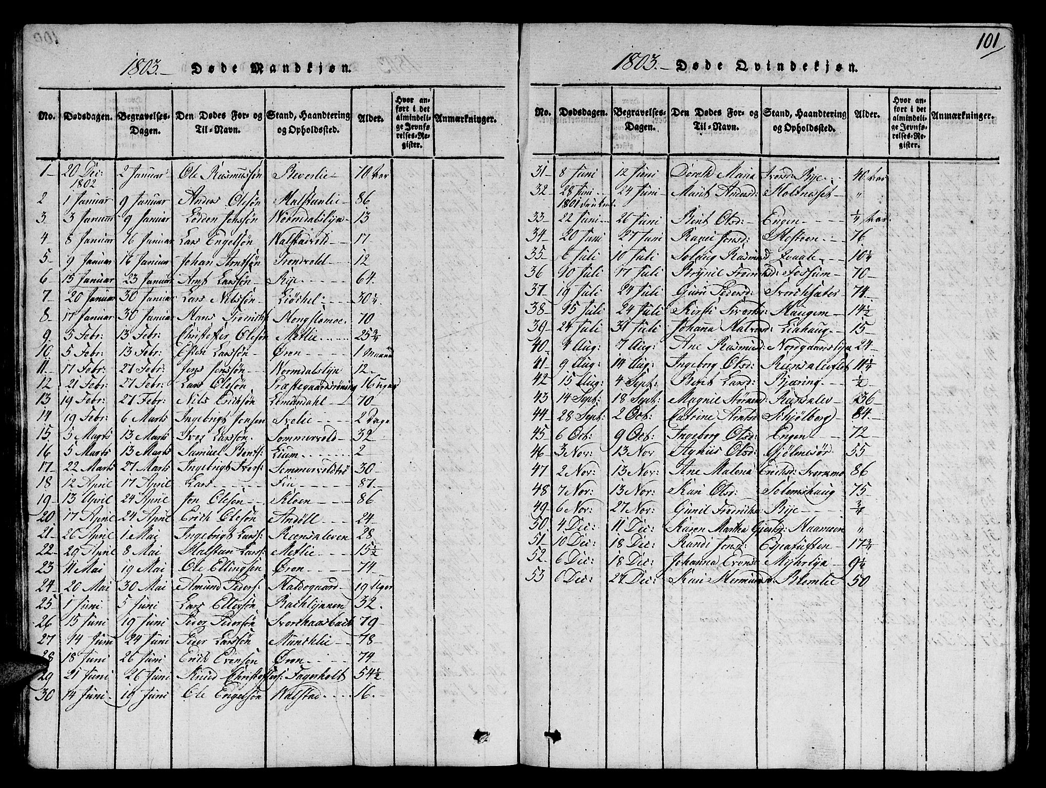 Ministerialprotokoller, klokkerbøker og fødselsregistre - Sør-Trøndelag, SAT/A-1456/668/L0803: Parish register (official) no. 668A03, 1800-1826, p. 101