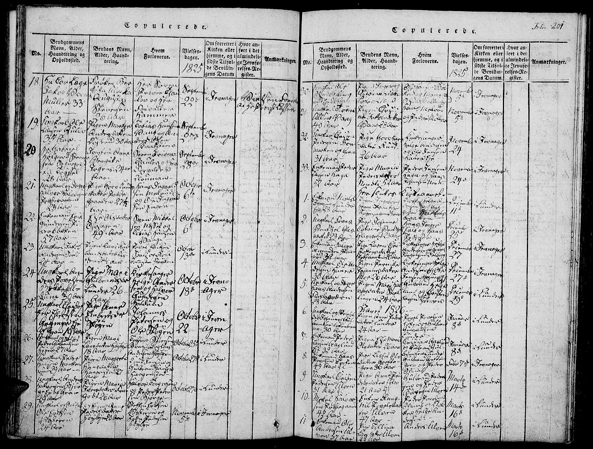 Jevnaker prestekontor, SAH/PREST-116/H/Ha/Hab/L0001: Parish register (copy) no. 1, 1815-1837, p. 201