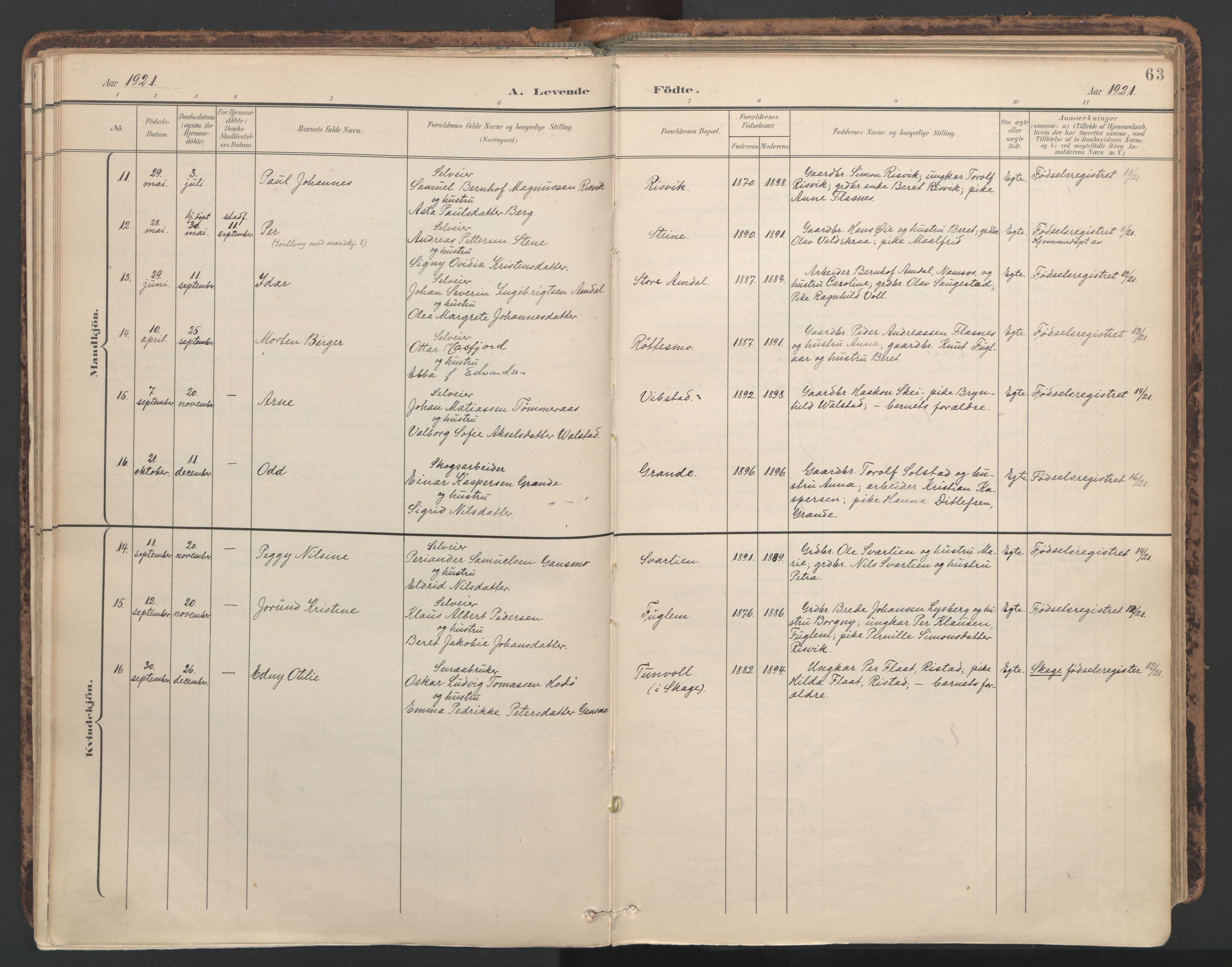 Ministerialprotokoller, klokkerbøker og fødselsregistre - Nord-Trøndelag, AV/SAT-A-1458/764/L0556: Parish register (official) no. 764A11, 1897-1924, p. 63