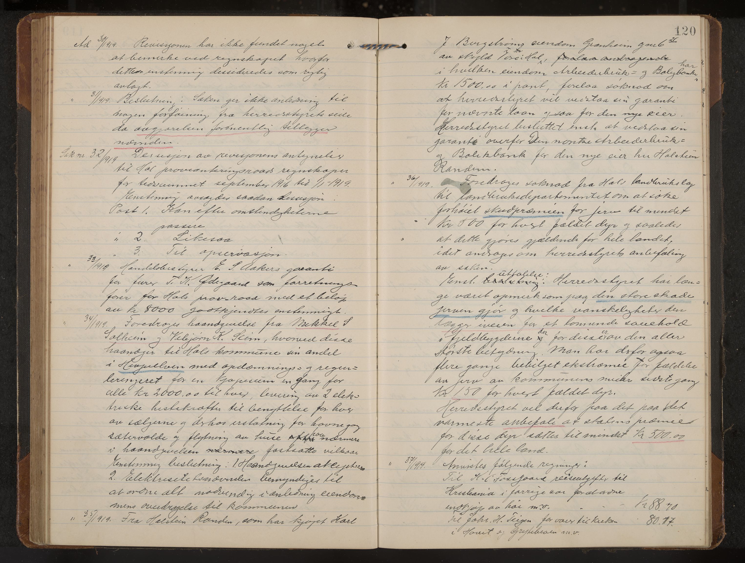 Hol formannskap og sentraladministrasjon, IKAK/0620021-1/A/L0006: Møtebok, 1916-1922, p. 120